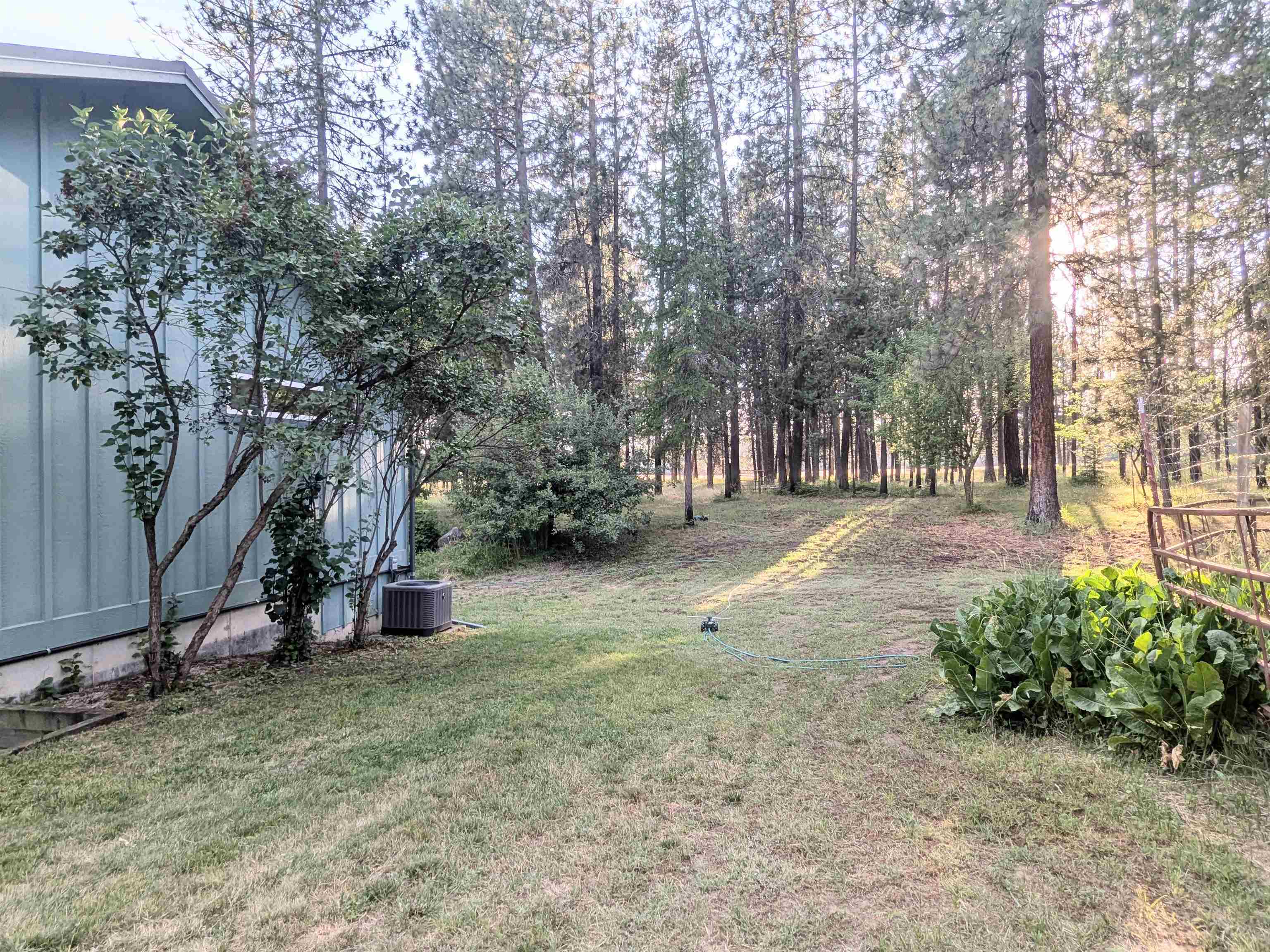31717 N Lidgerwood Ln - Photo 29