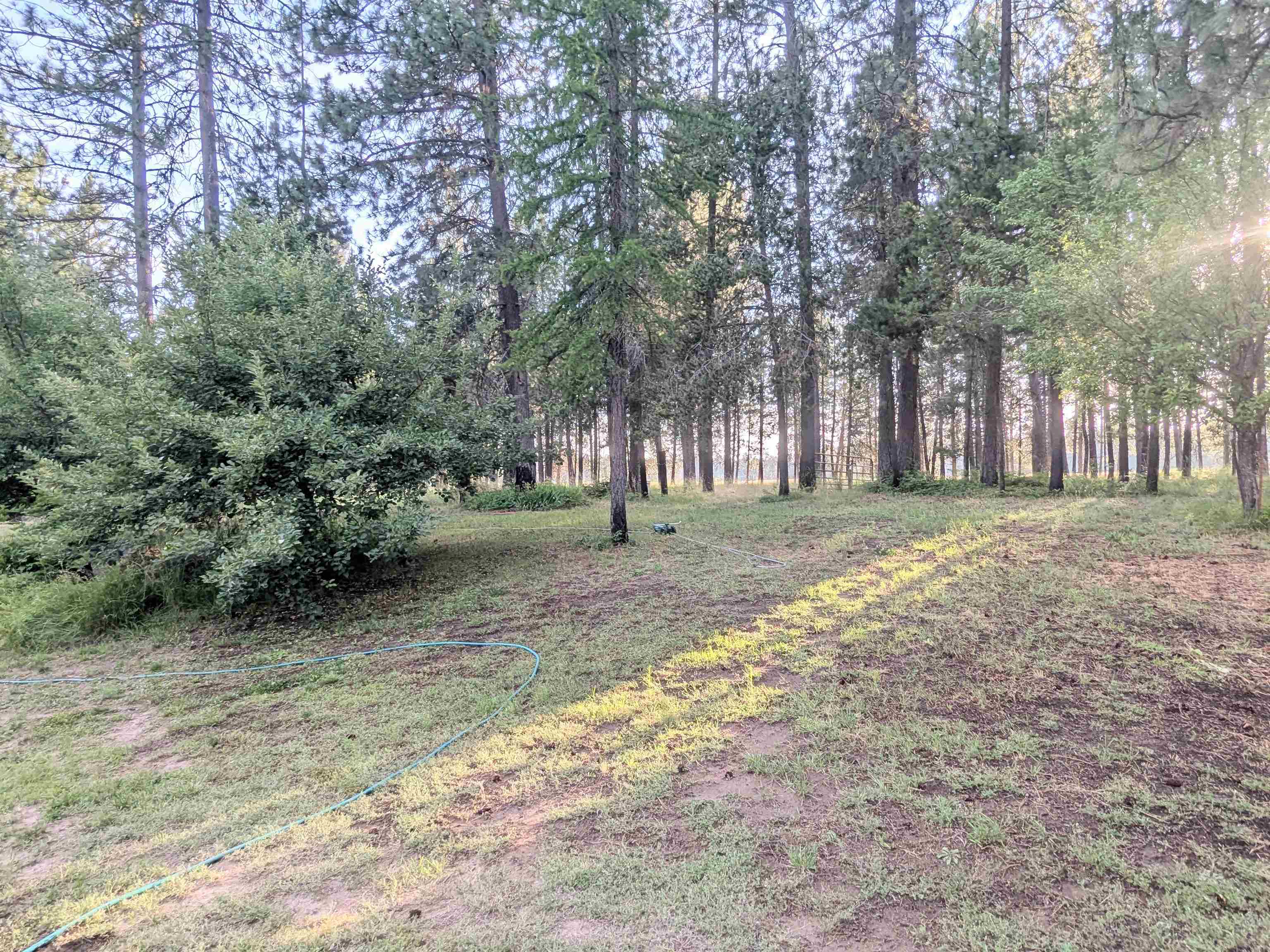 31717 N Lidgerwood Ln - Photo 30