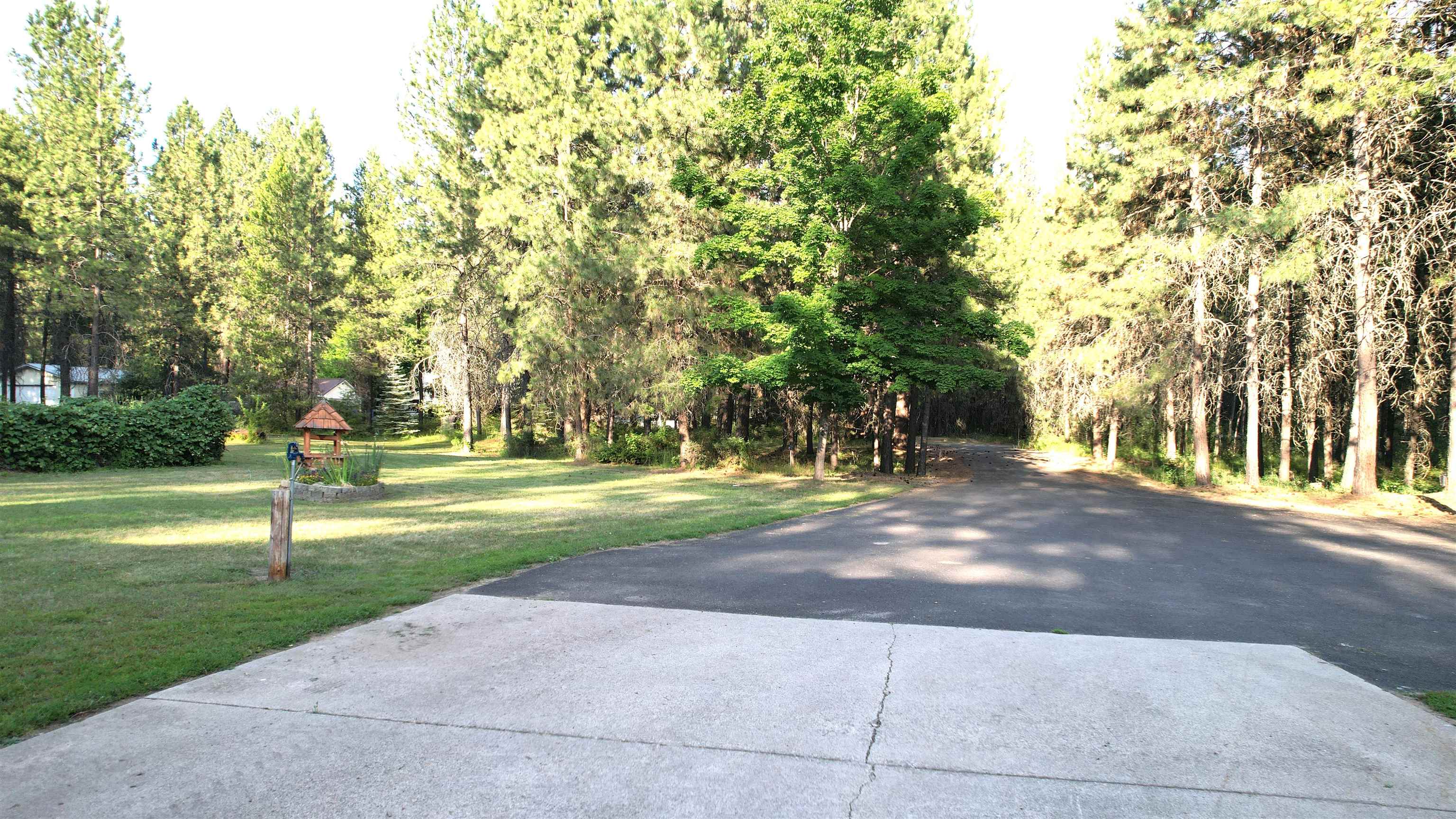 31717 N Lidgerwood Ln - Photo 34