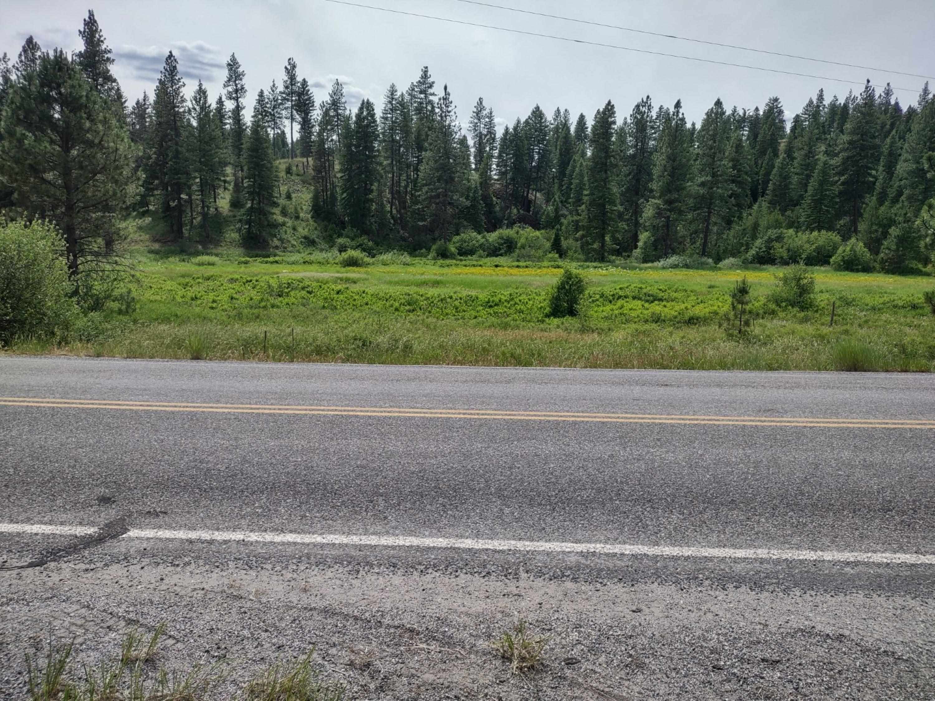 xx Springdale Hunters Hwy - Photo 3