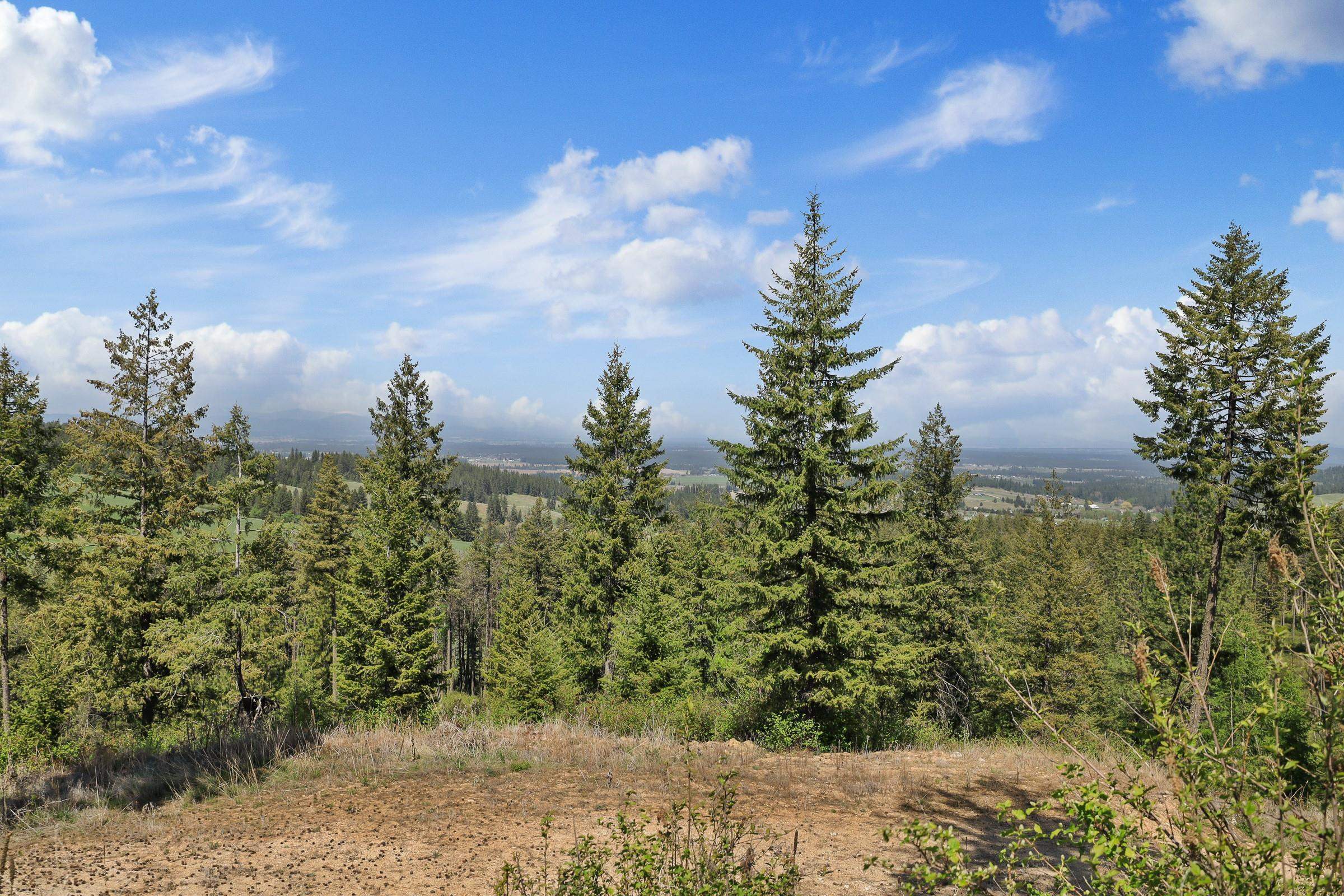 NKA N Moose Drool Ln - Photo 12