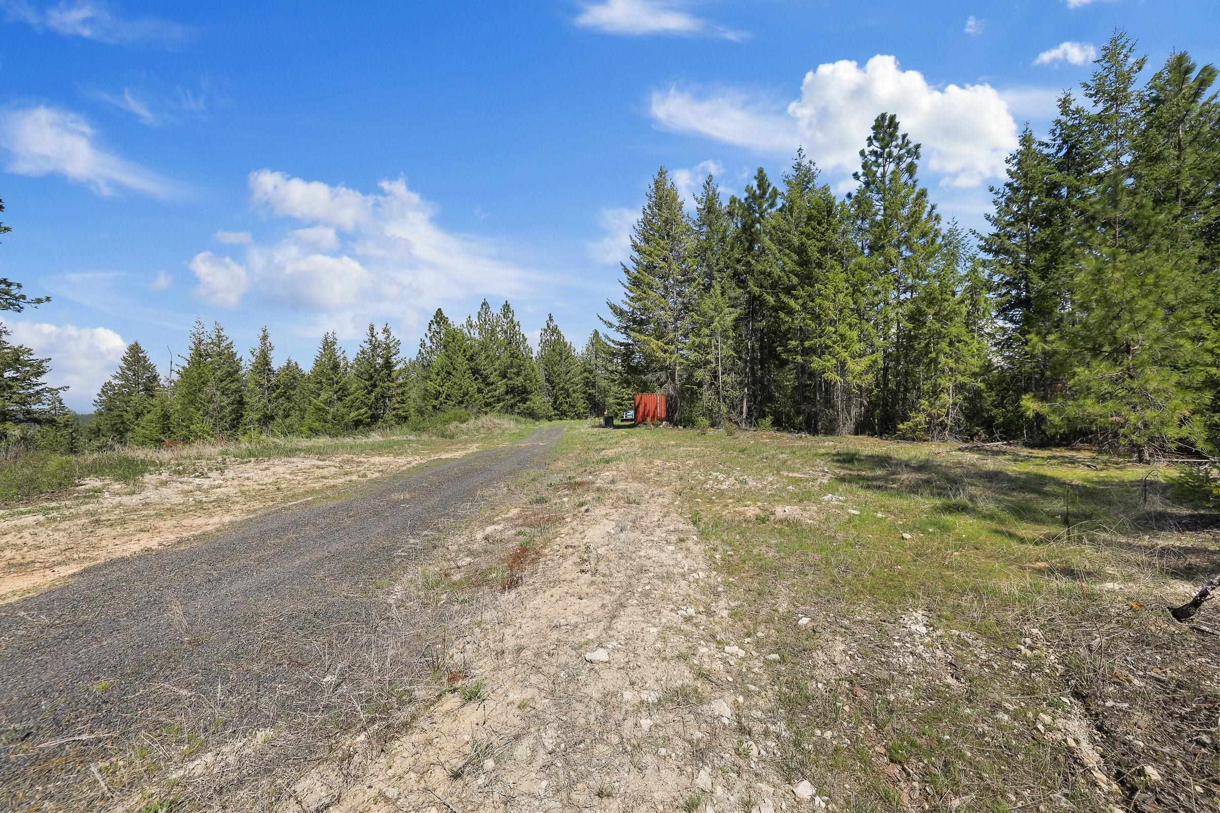 NKA N Moose Drool Ln - Photo 15