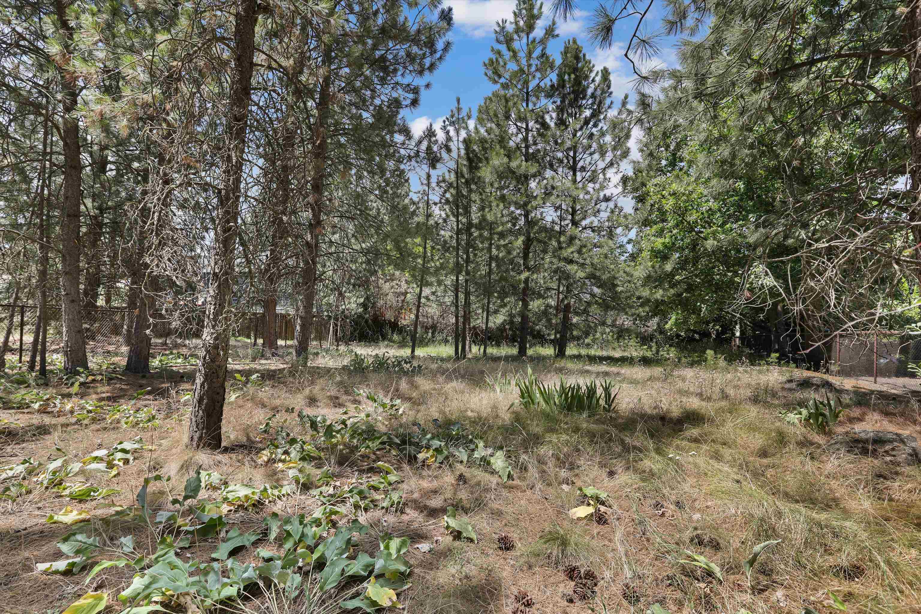 1920 S Rocky Ridge Dr - Photo 33