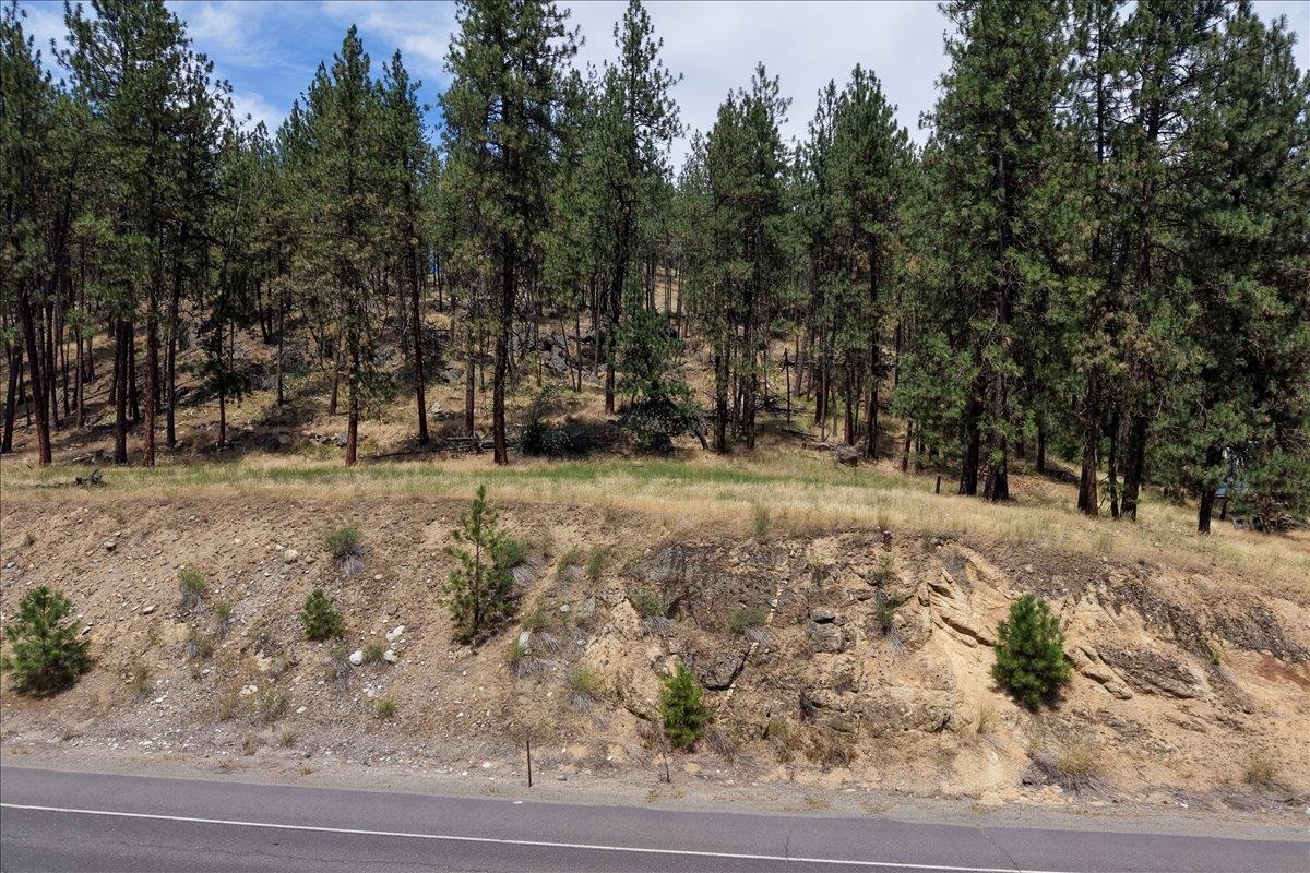 11XXX Nine Mile Rd - Photo 1