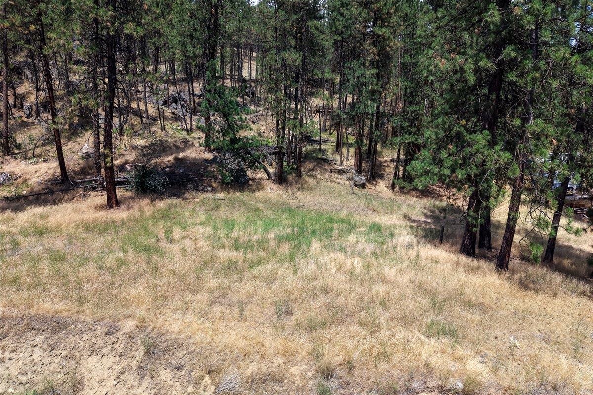 11XXX Nine Mile Rd - Photo 2