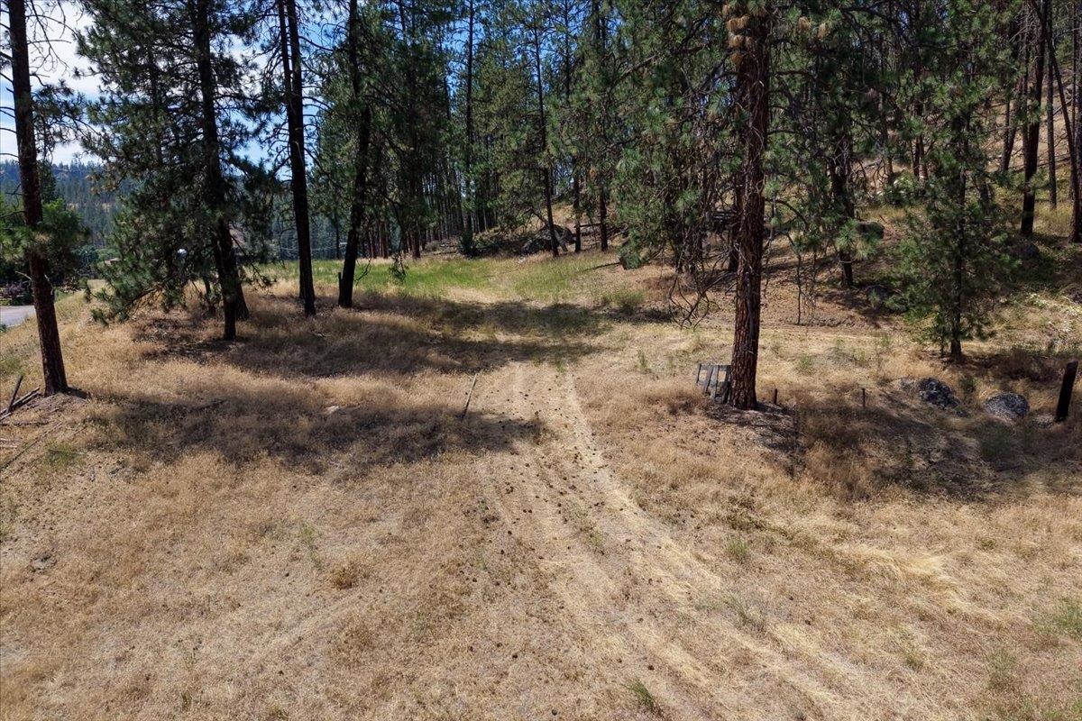 11XXX Nine Mile Rd - Photo 3
