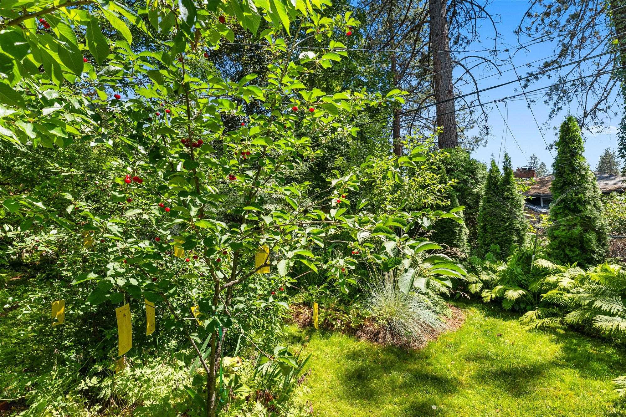 10820 E 18th Ave - Photo 32