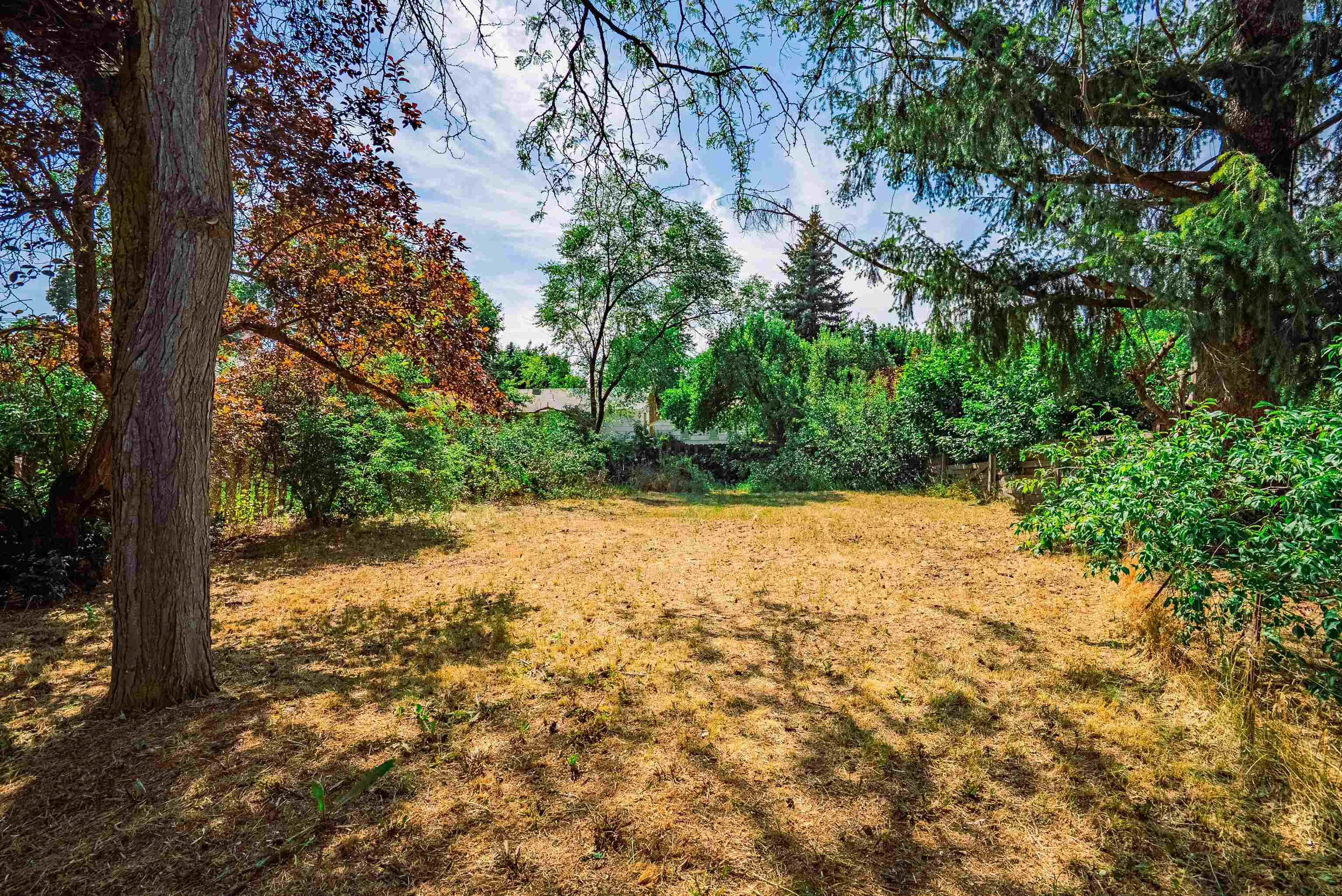 1109 N Balfour Ct - Photo 5