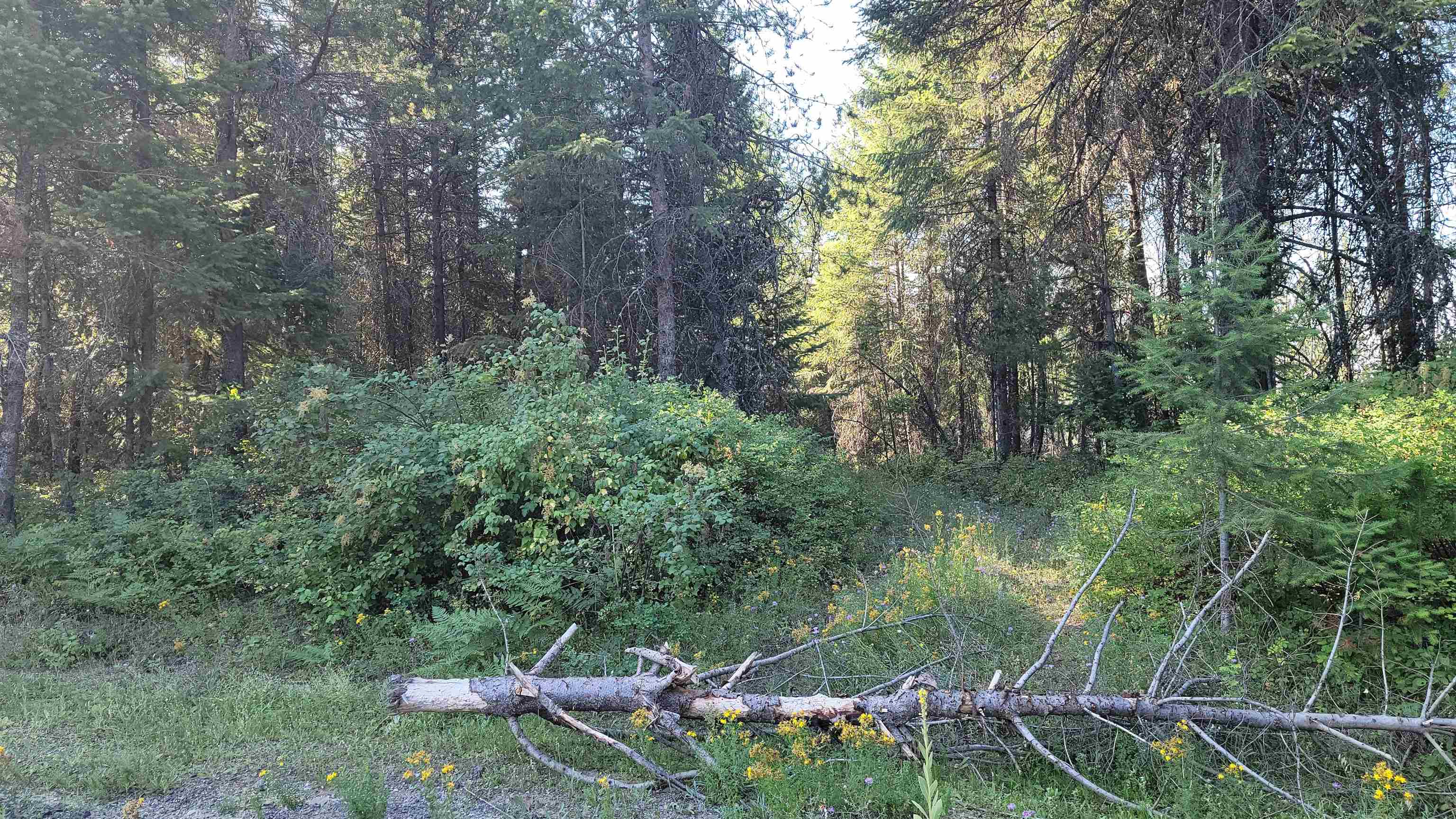 612 Overlook Dr - Photo 3