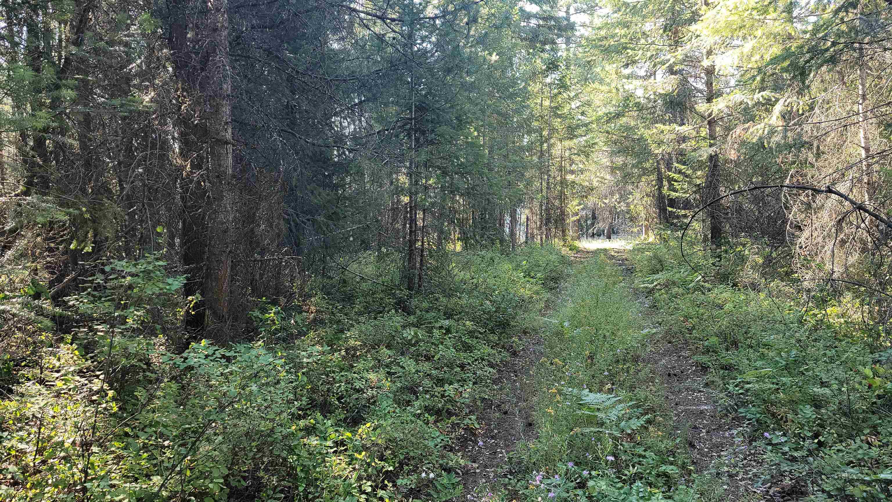 612 Overlook Dr - Photo 4