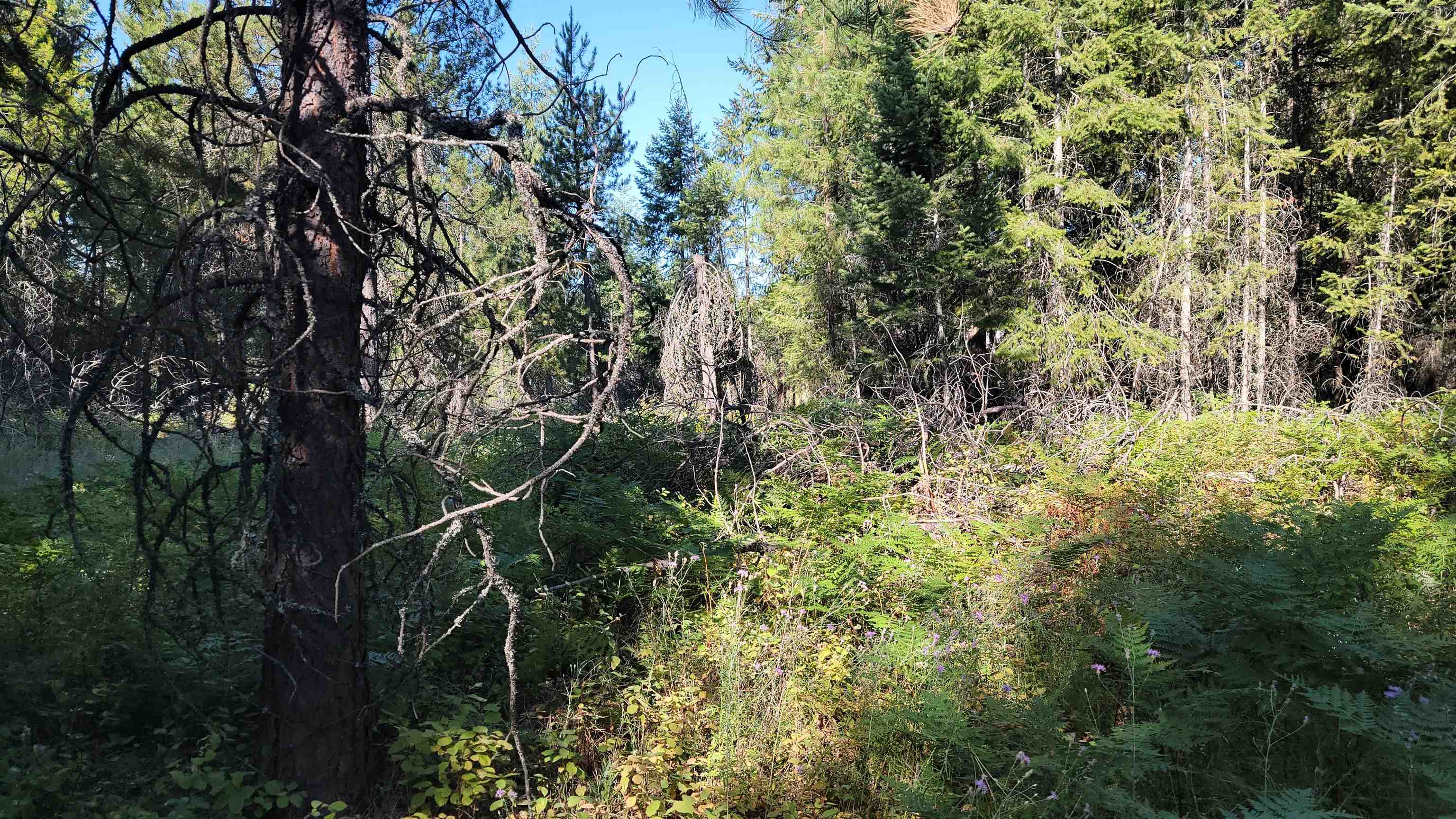 612 Overlook Dr - Photo 8
