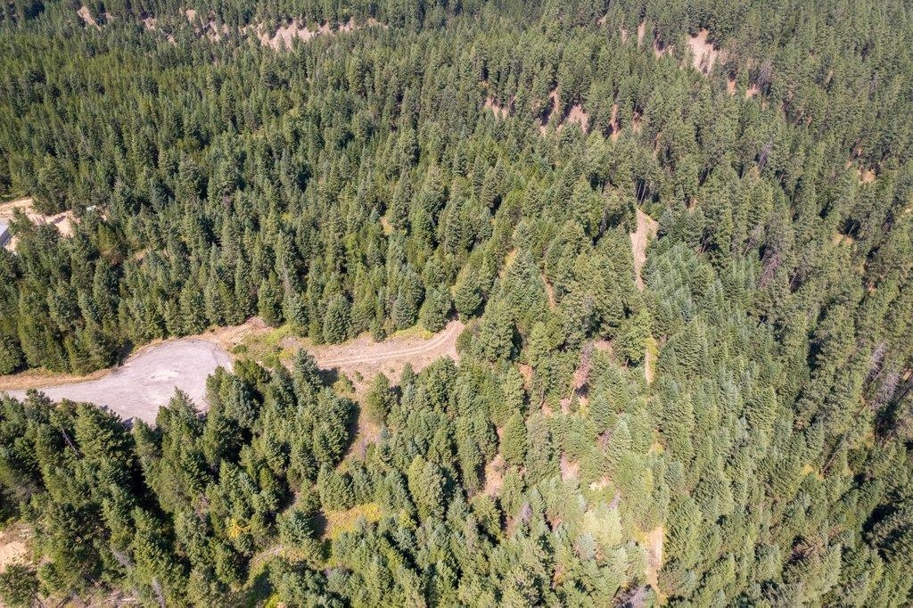 612 Overlook Dr - Photo 12