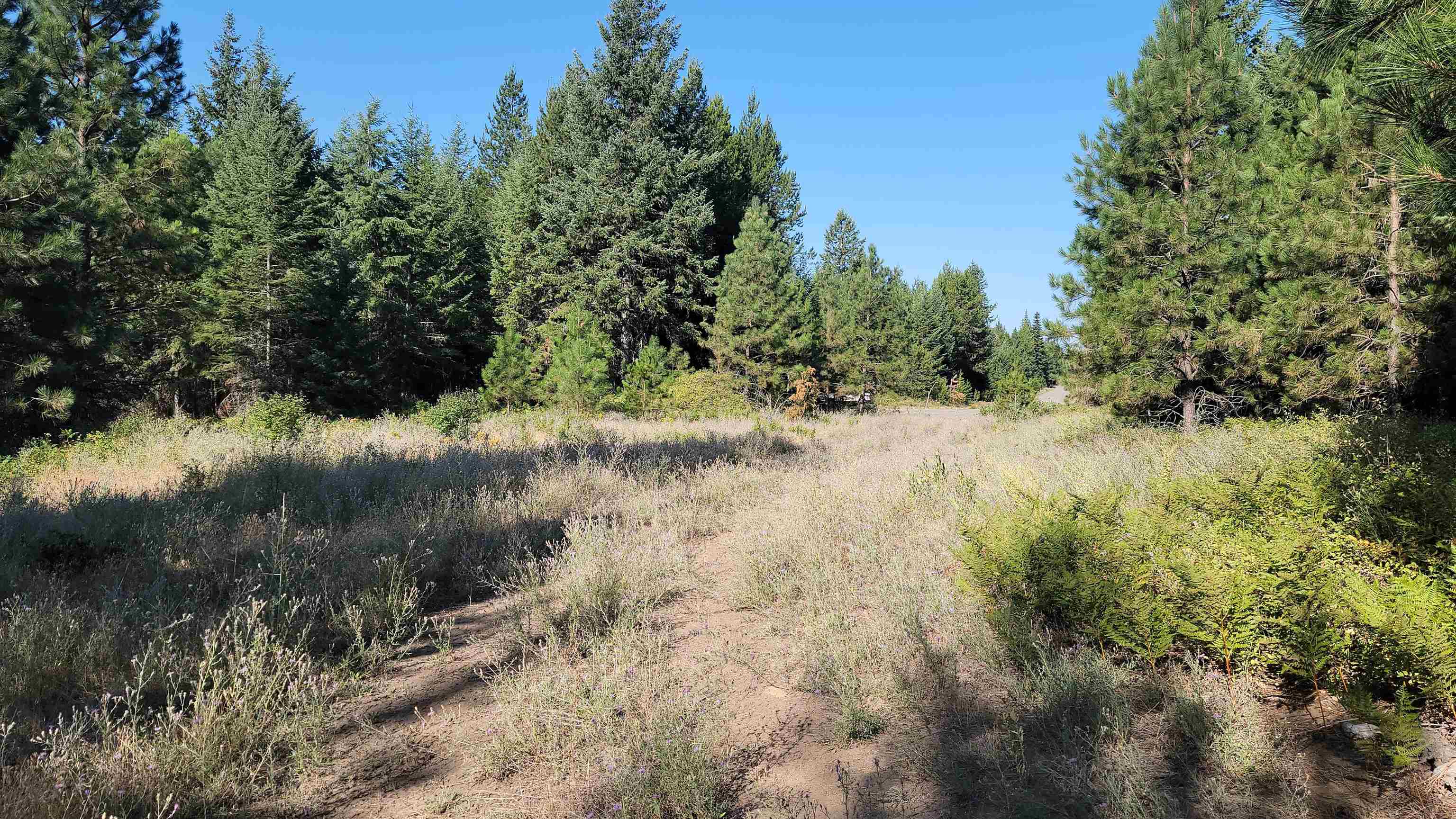 642 Overlook Dr - Photo 1