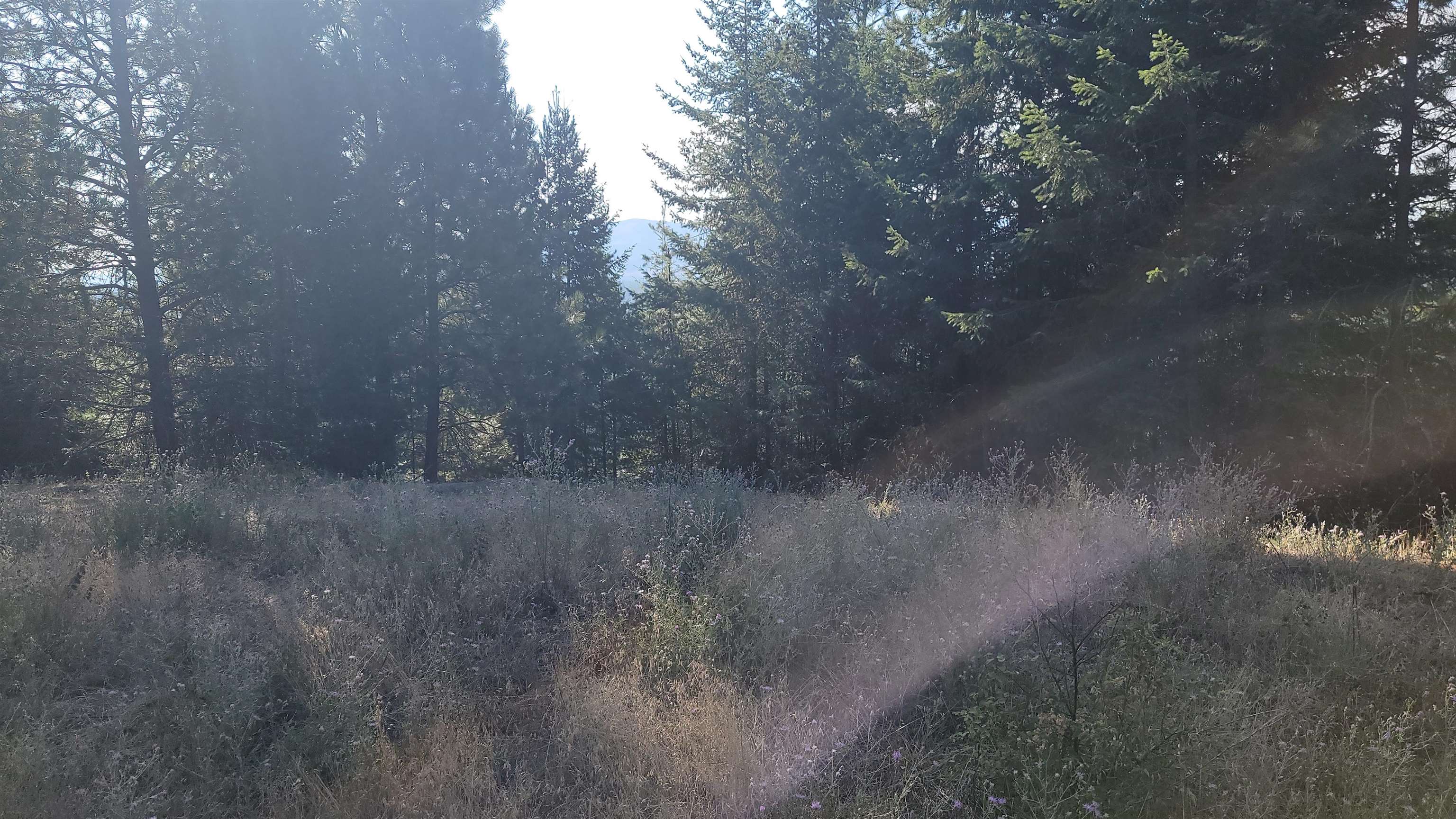 642 Overlook Dr - Photo 8