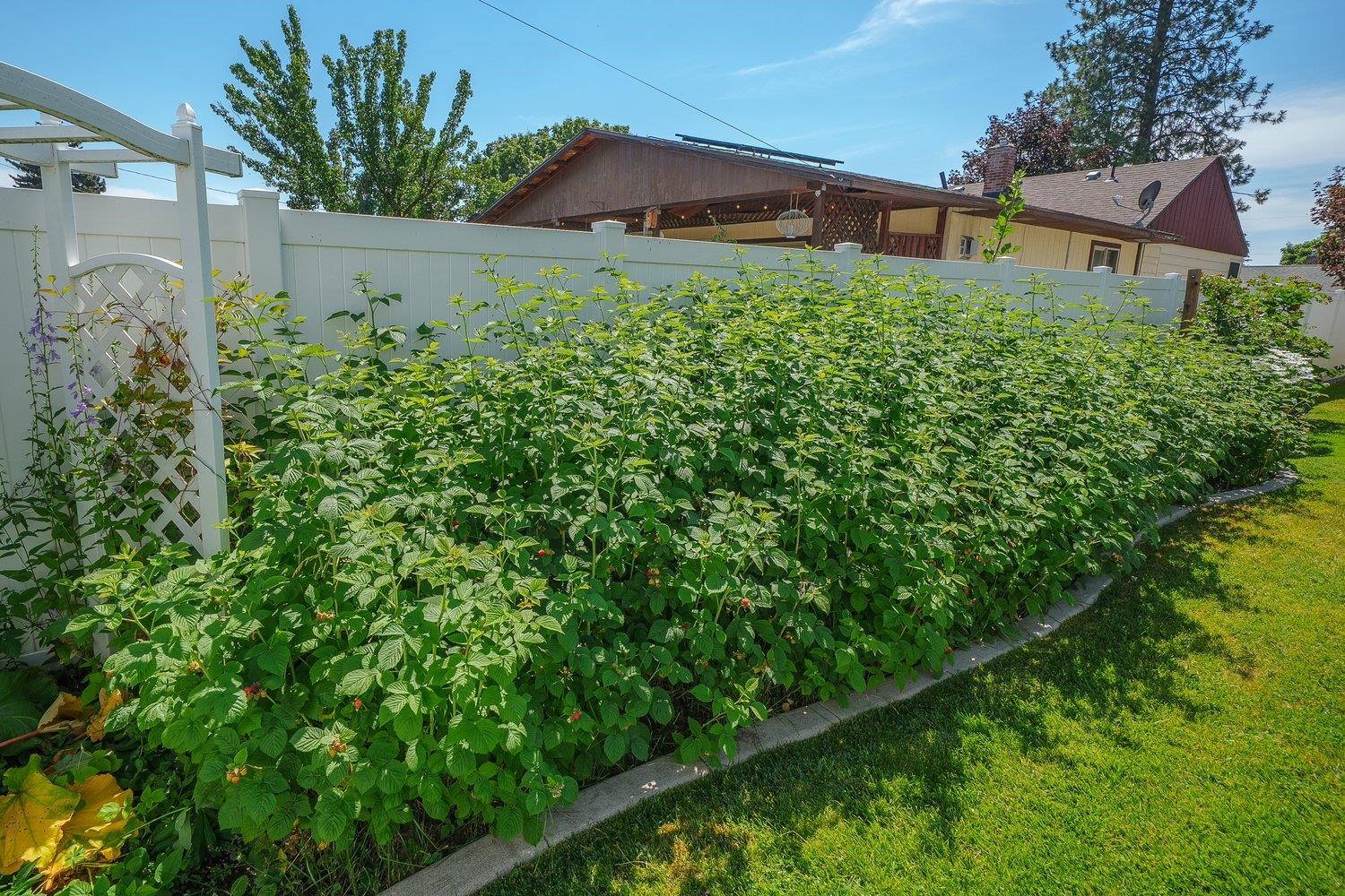 5124 N OAK St - Photo 31