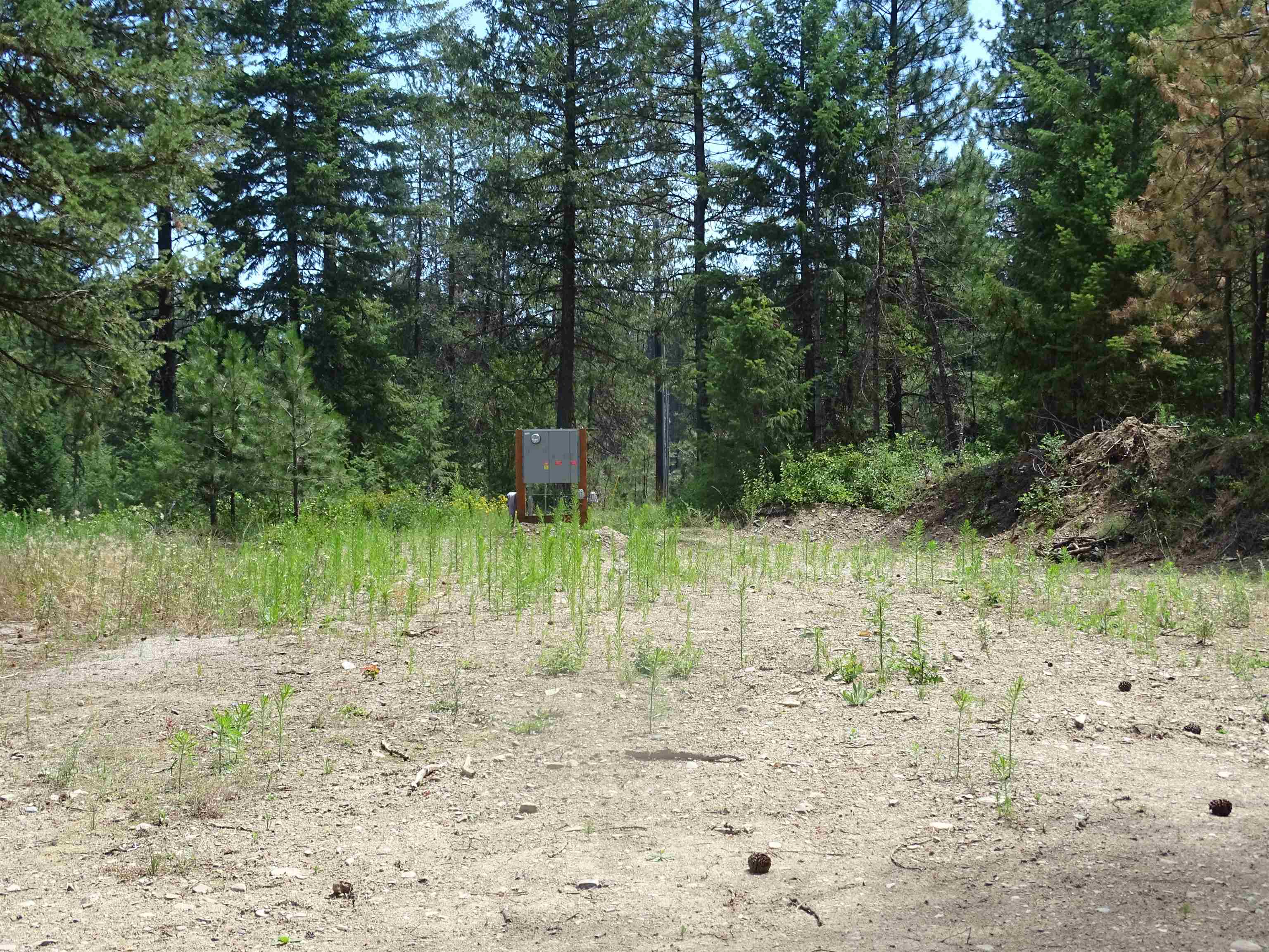 4482 Old E. Springdale Rd - Photo 4