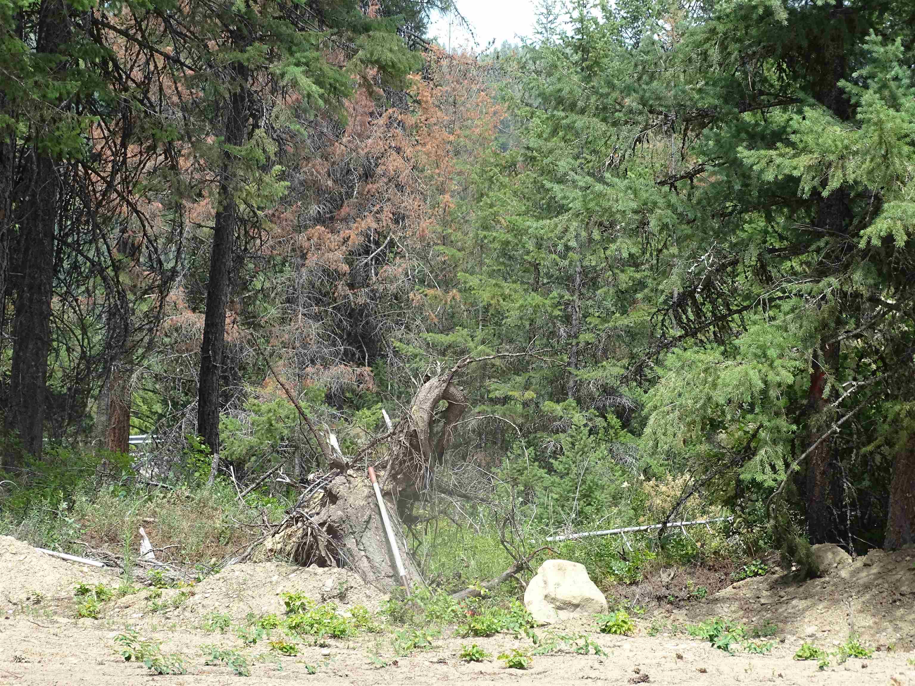 4482 Old E. Springdale Rd - Photo 6