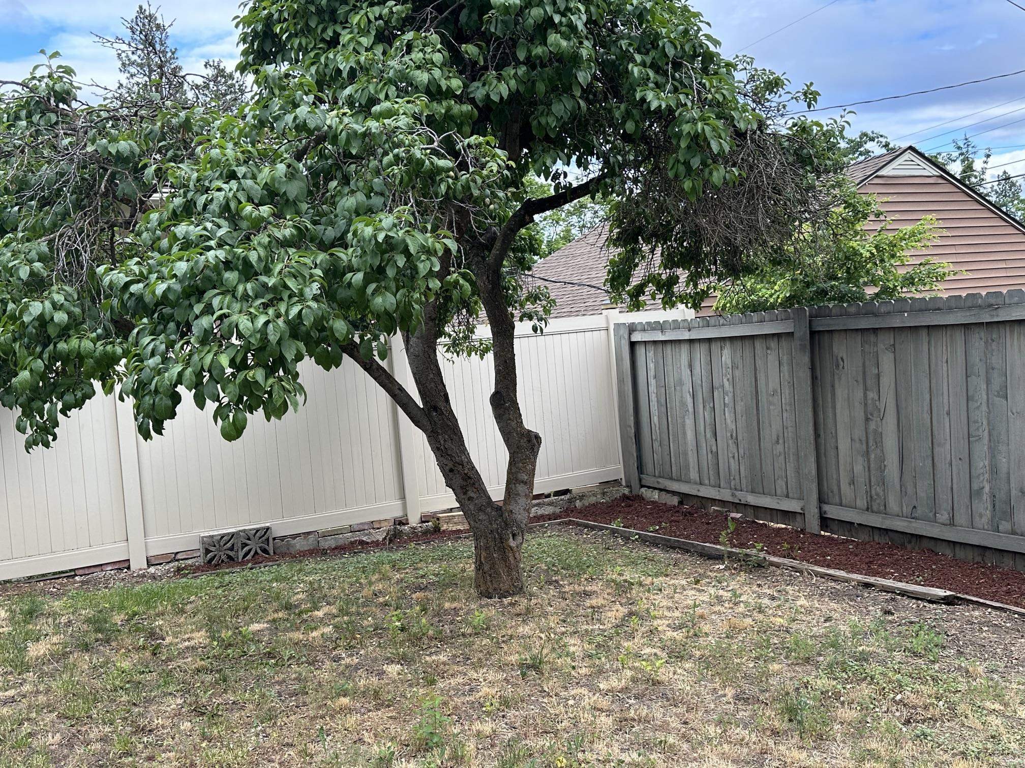 804 E 37th Ave - Photo 29
