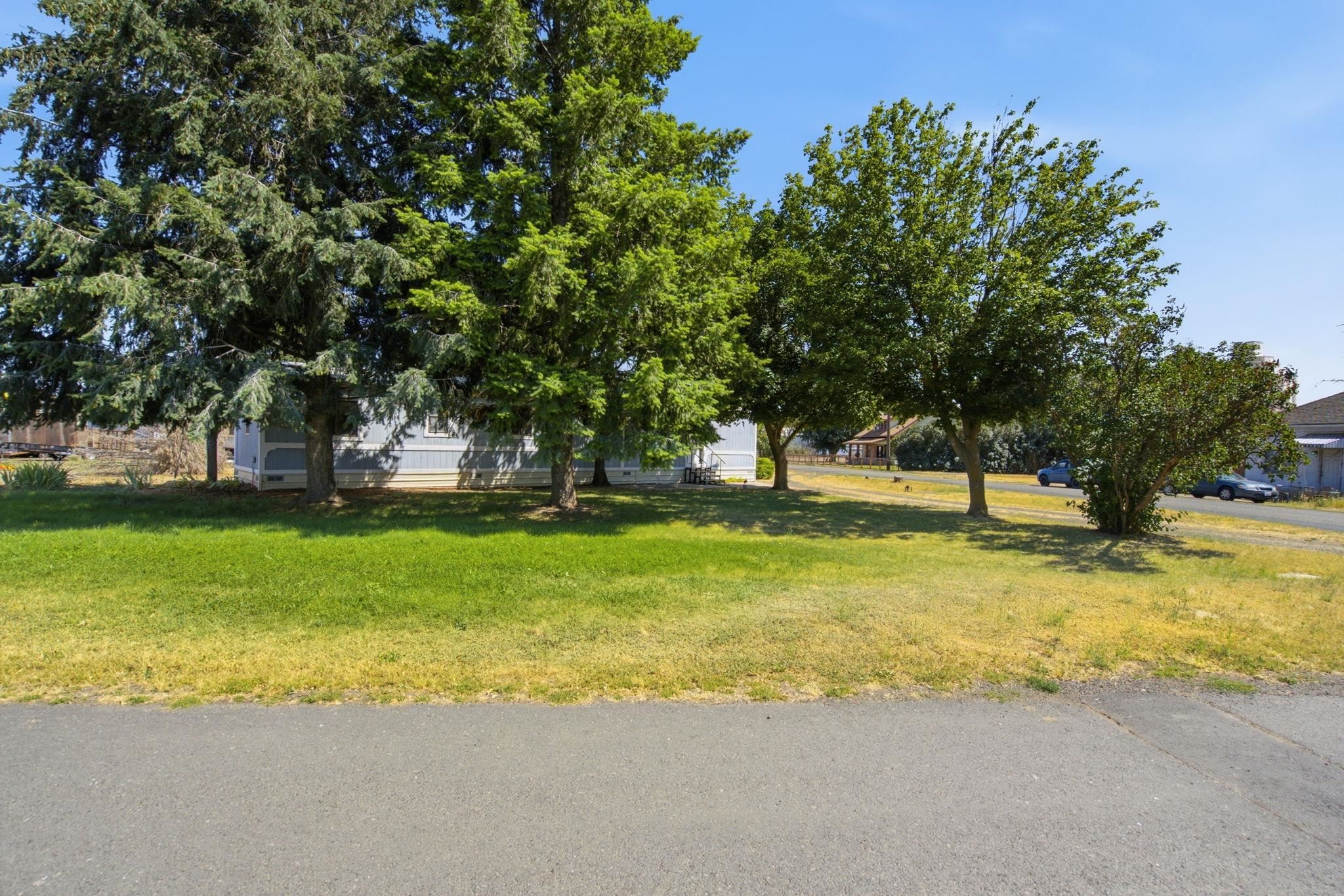 209 S Clark Ave - Photo 4