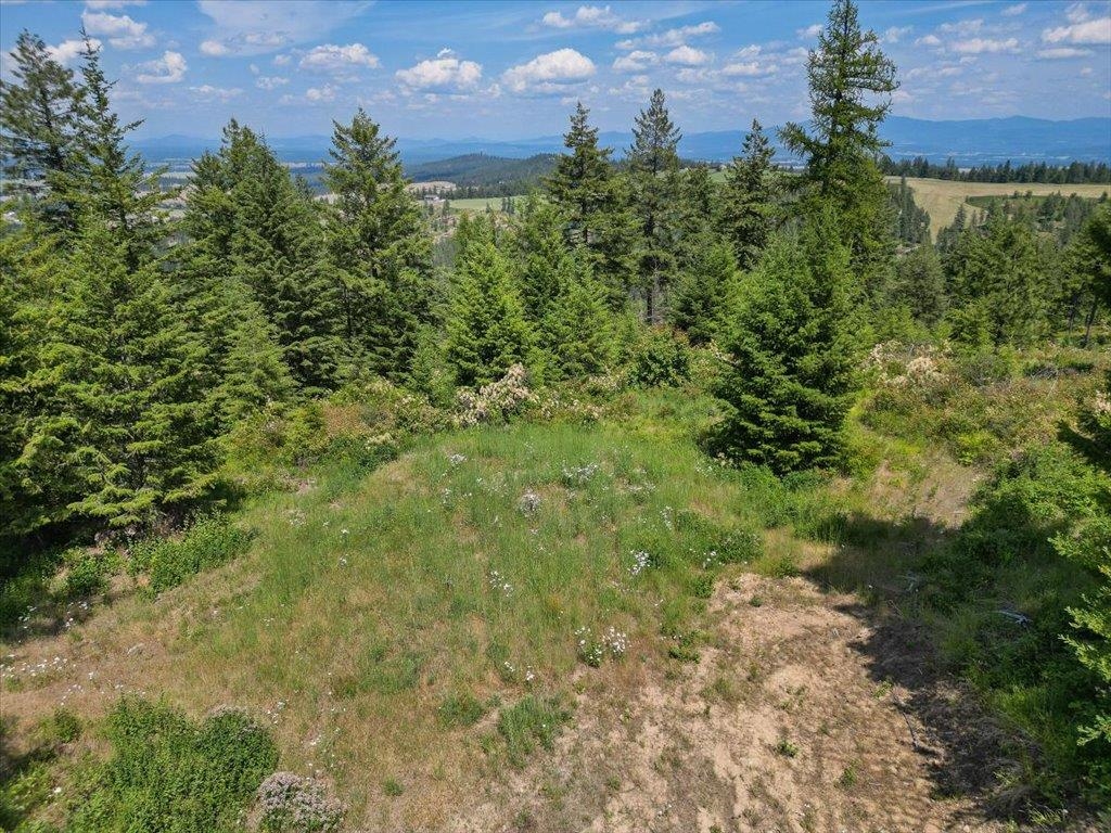 NKA N Moose Drool Ln - Photo 10