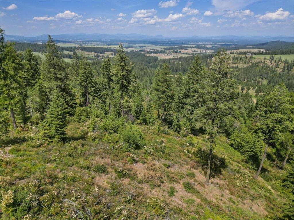 NKA N Moose Drool Ln - Photo 13
