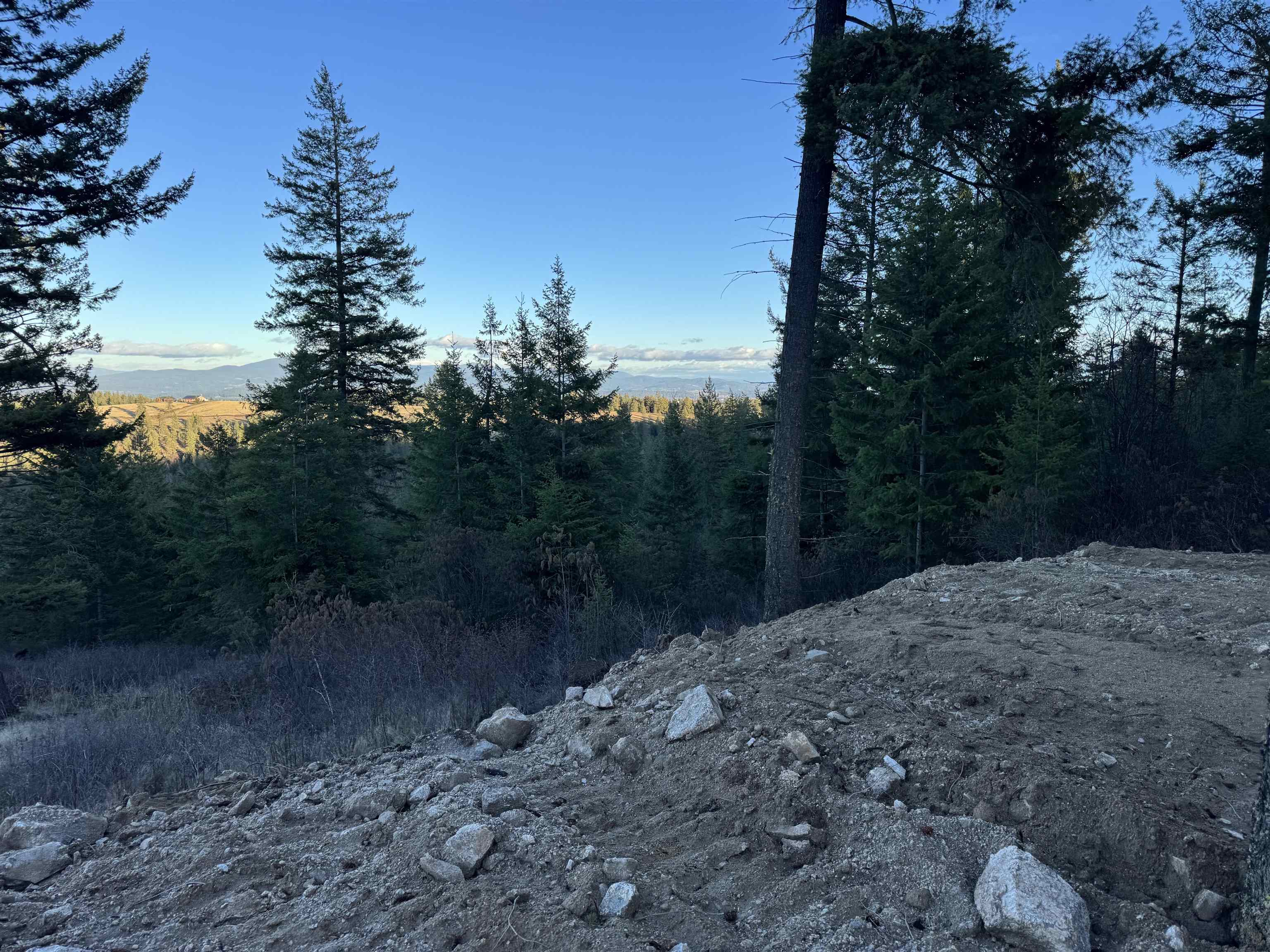 NKA N Moose Drool Ln - Photo 18