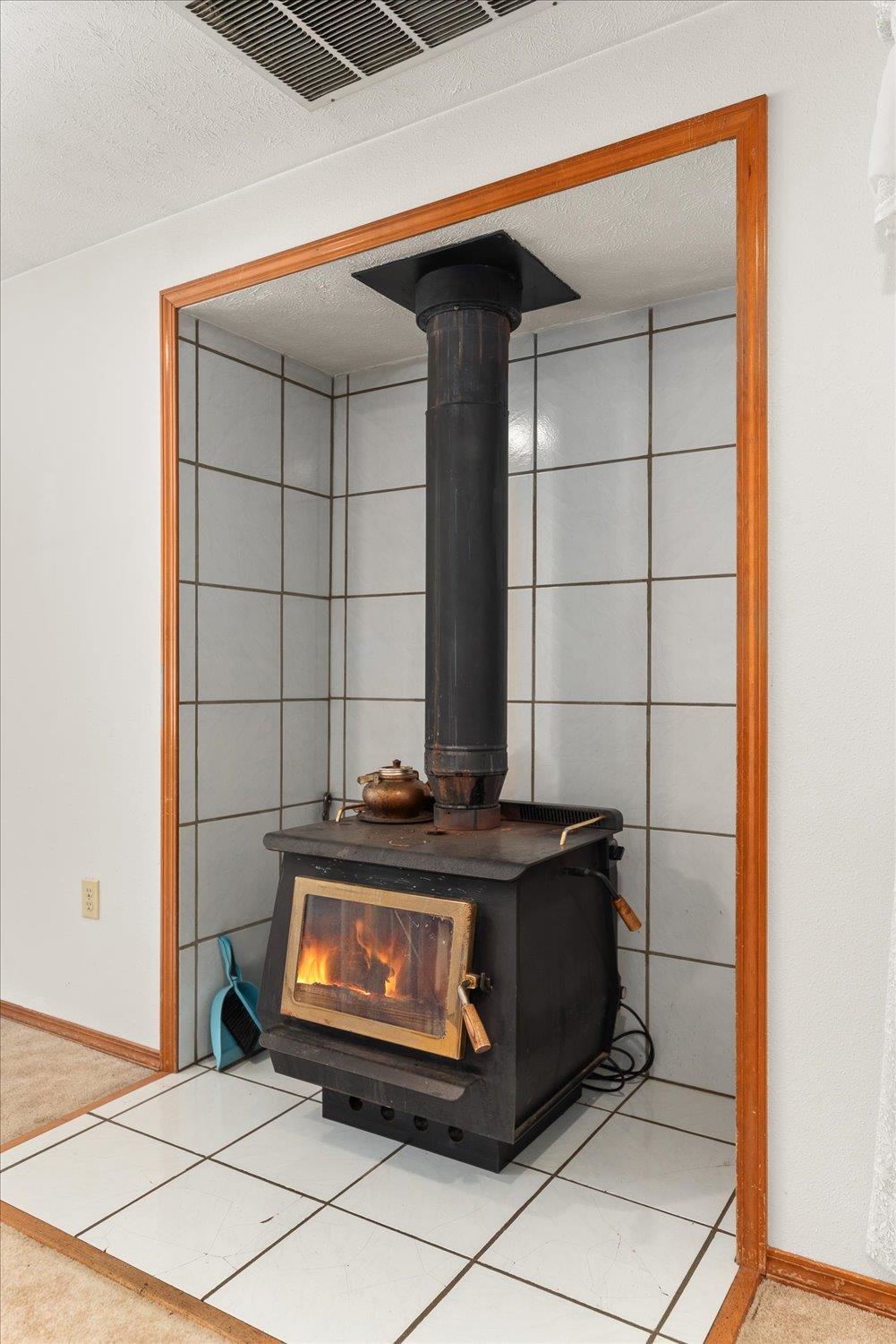 37079 Knotty Pine Ln - Photo 10