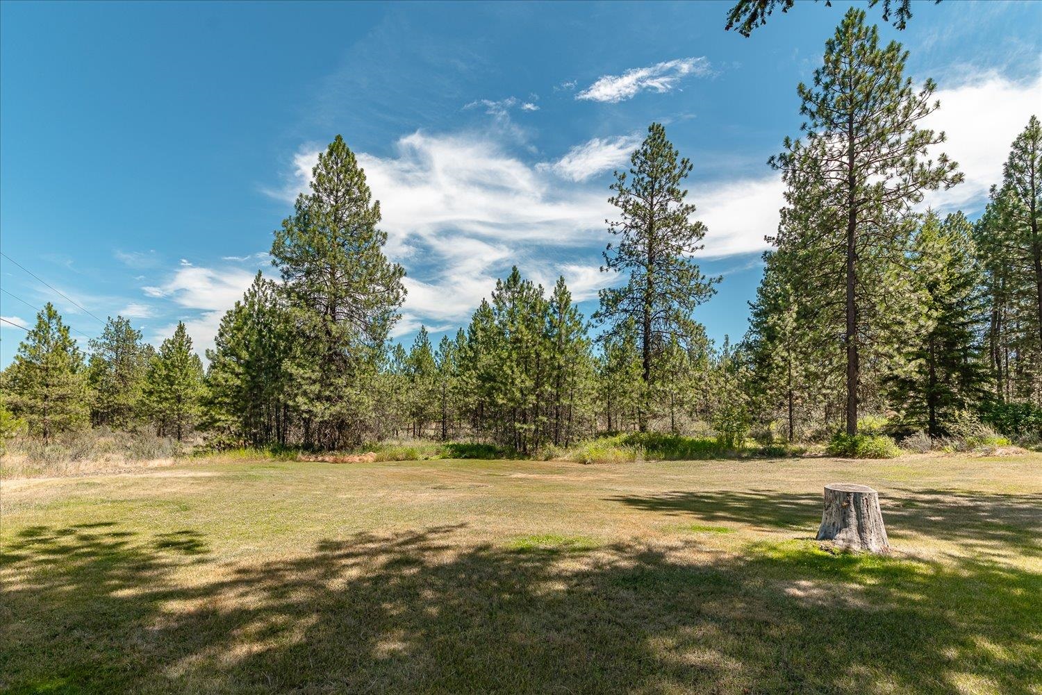 37079 Knotty Pine Ln - Photo 31