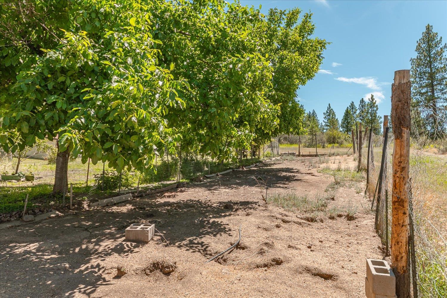 37079 Knotty Pine Ln - Photo 39