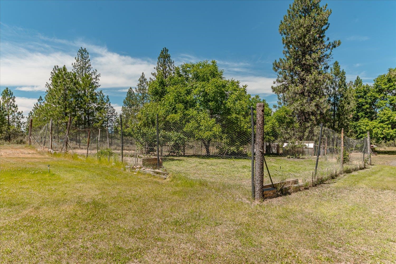 37079 Knotty Pine Ln - Photo 40