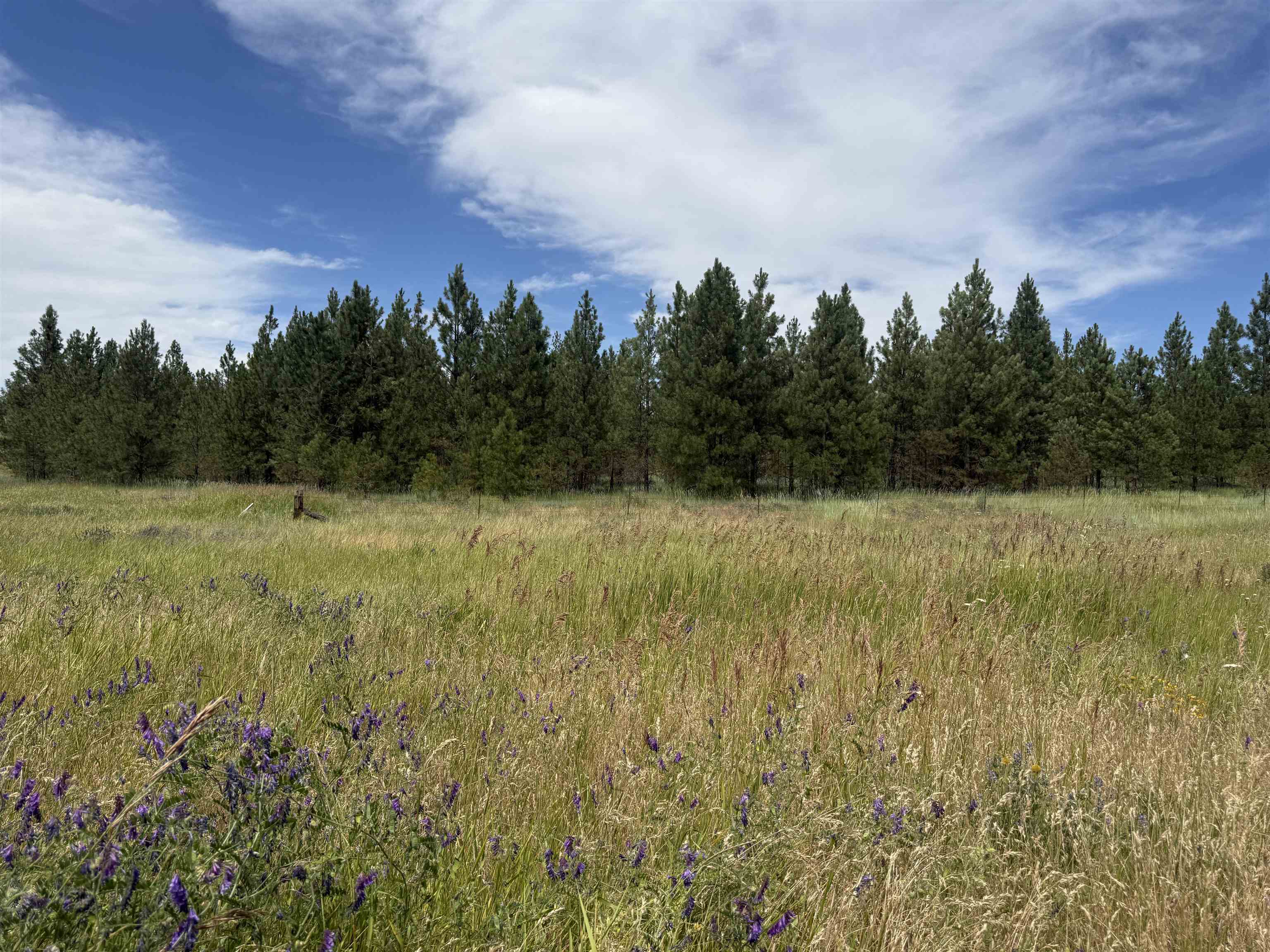15211 N Wood Rd - Photo 4