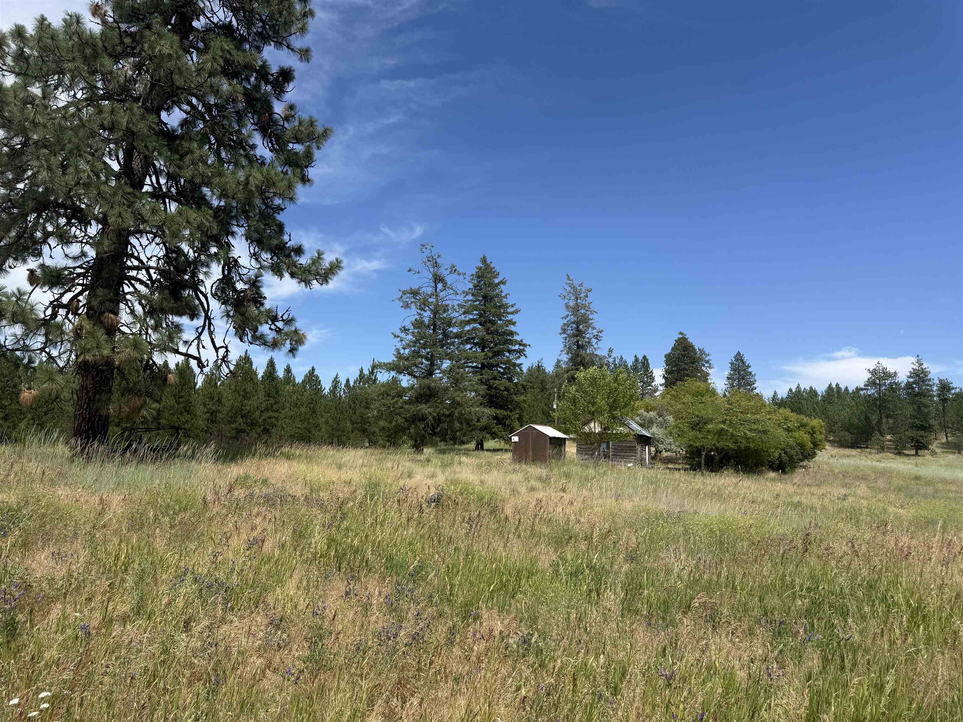 15211 N Wood Rd - Photo 3
