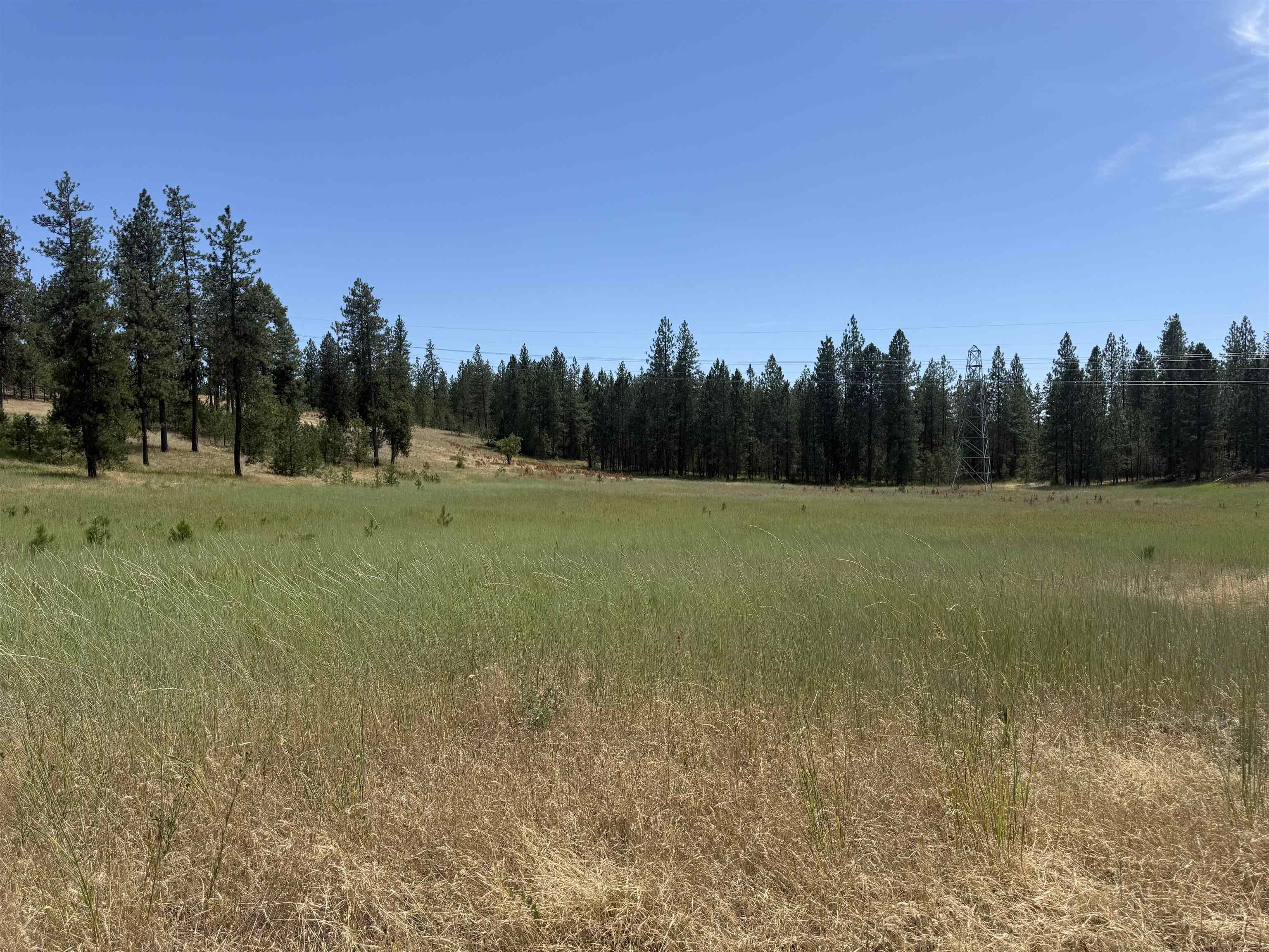 15211 N Wood Rd - Photo 7