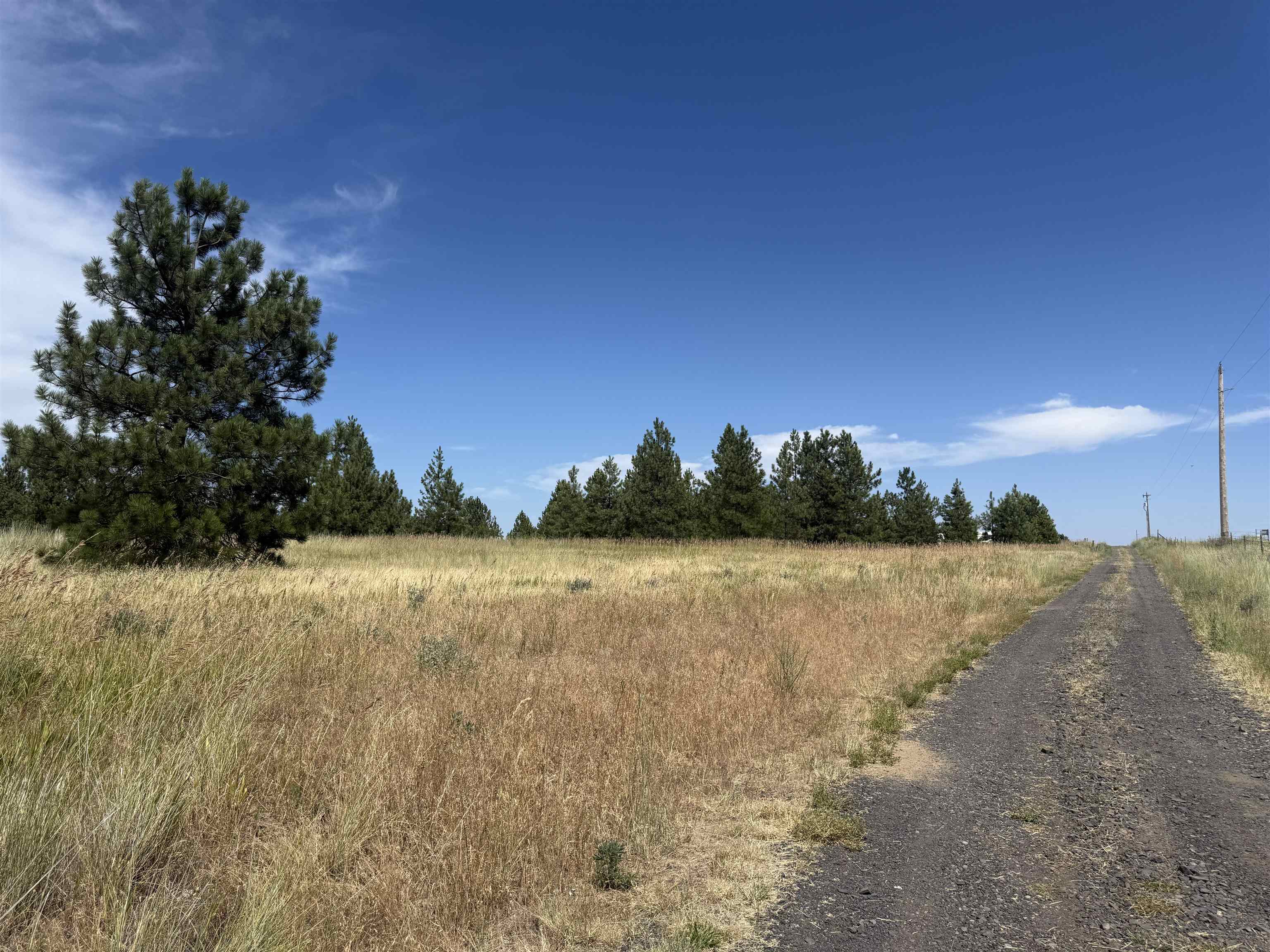 15211 N Wood Rd - Photo 8