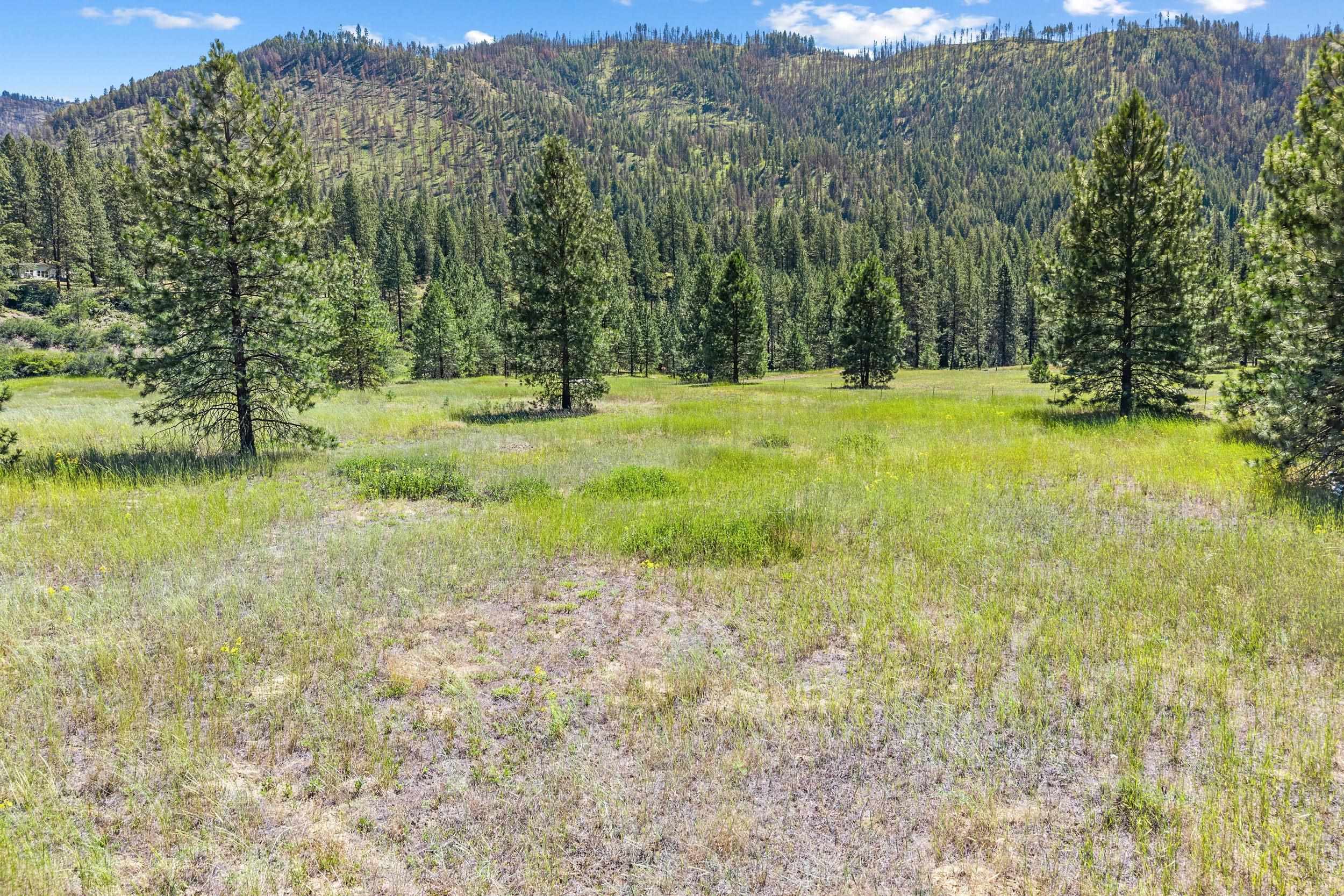 TBD 25 N Hwy - Photo 6
