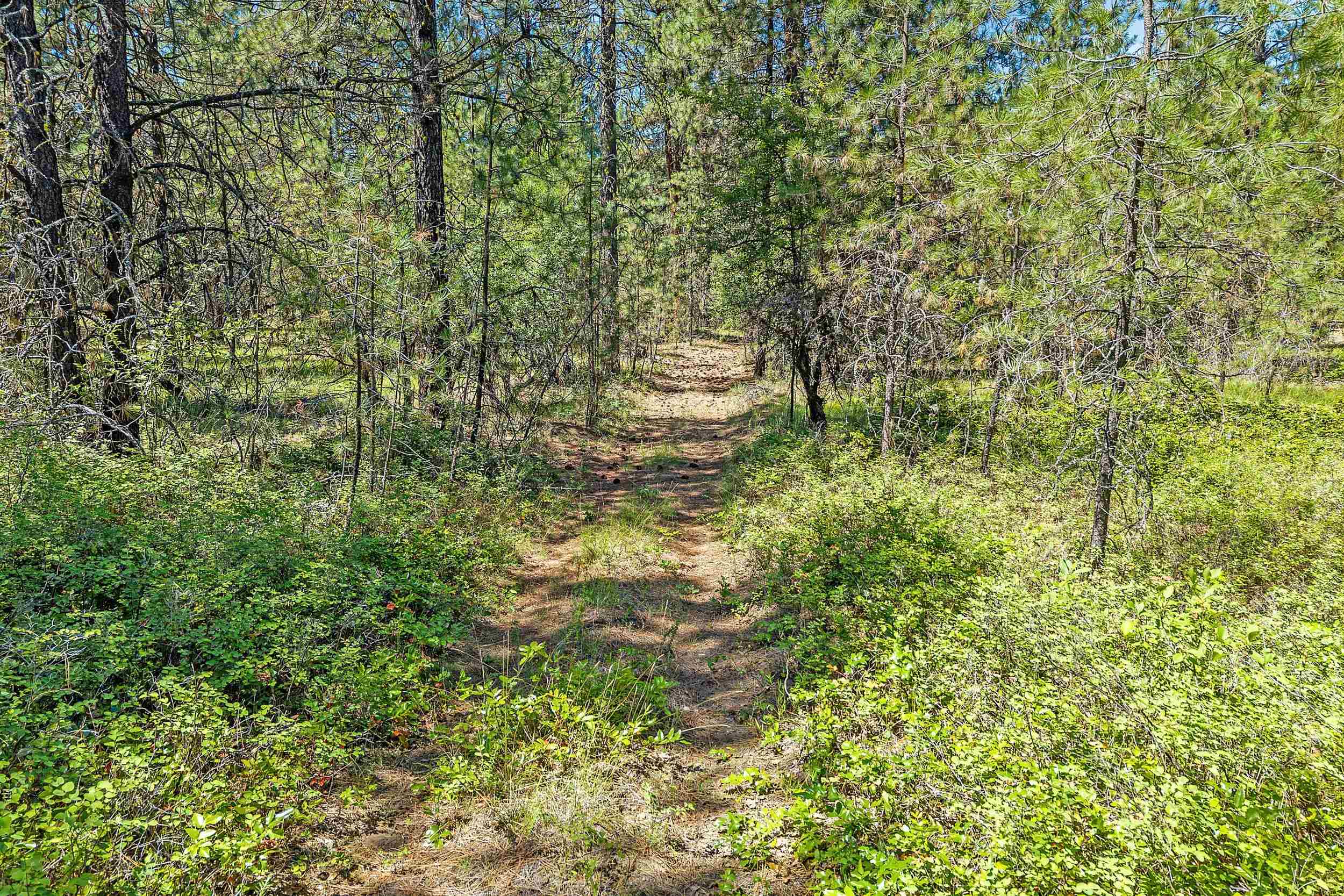 TBD 25 N Hwy - Photo 16