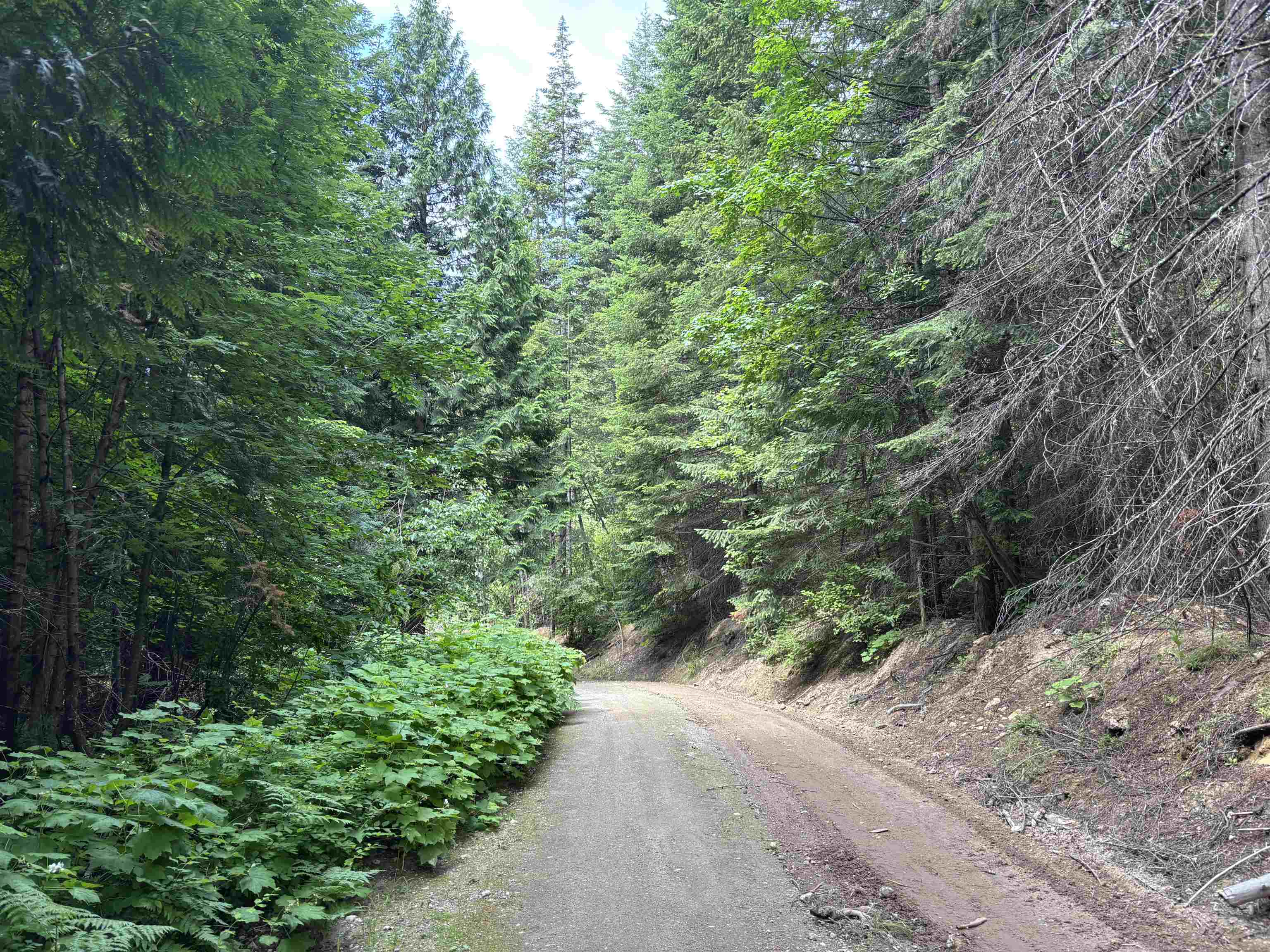 XXX N Deer Ln - Photo 6