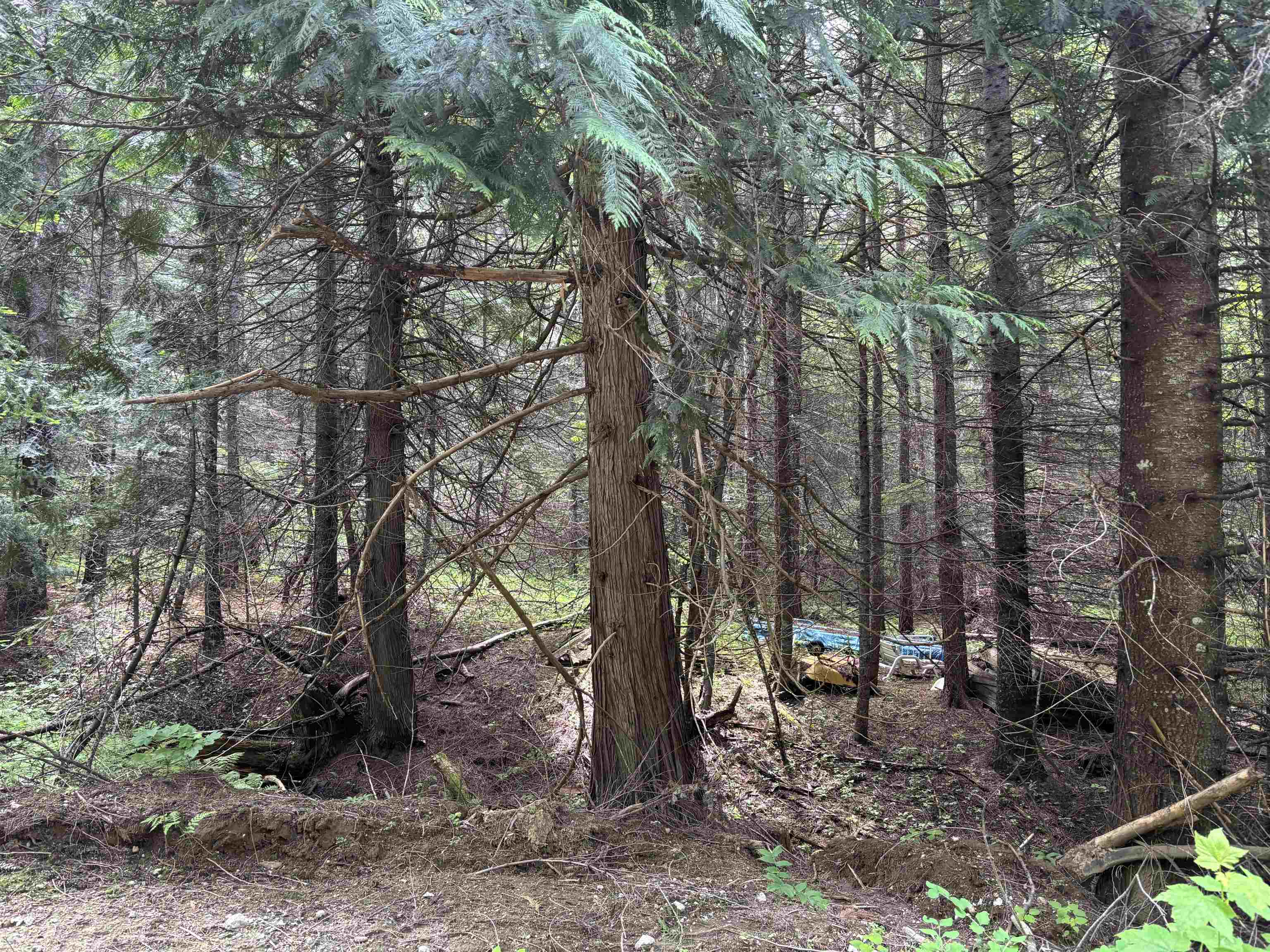 XXX N Deer Ln - Photo 7