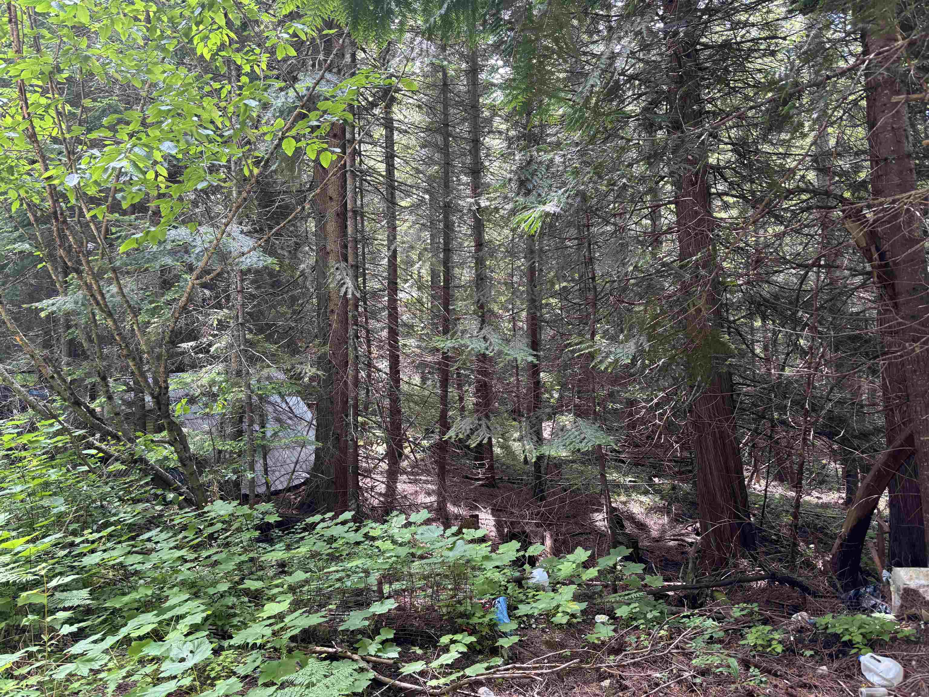 XXX N Deer Ln - Photo 9
