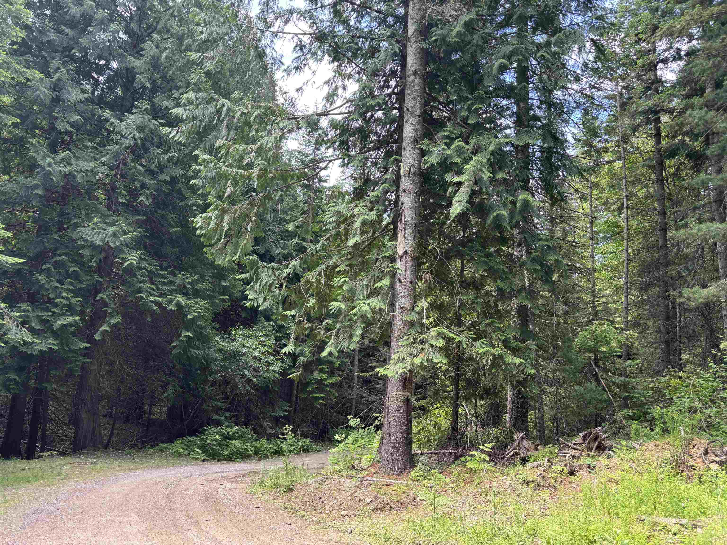 XXX N Deer Ln - Photo 10