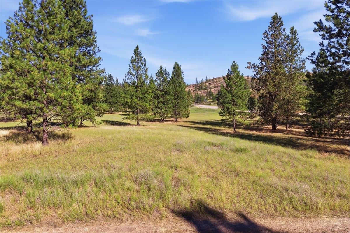 40291 E Cayuse Cove Rd - Photo 40