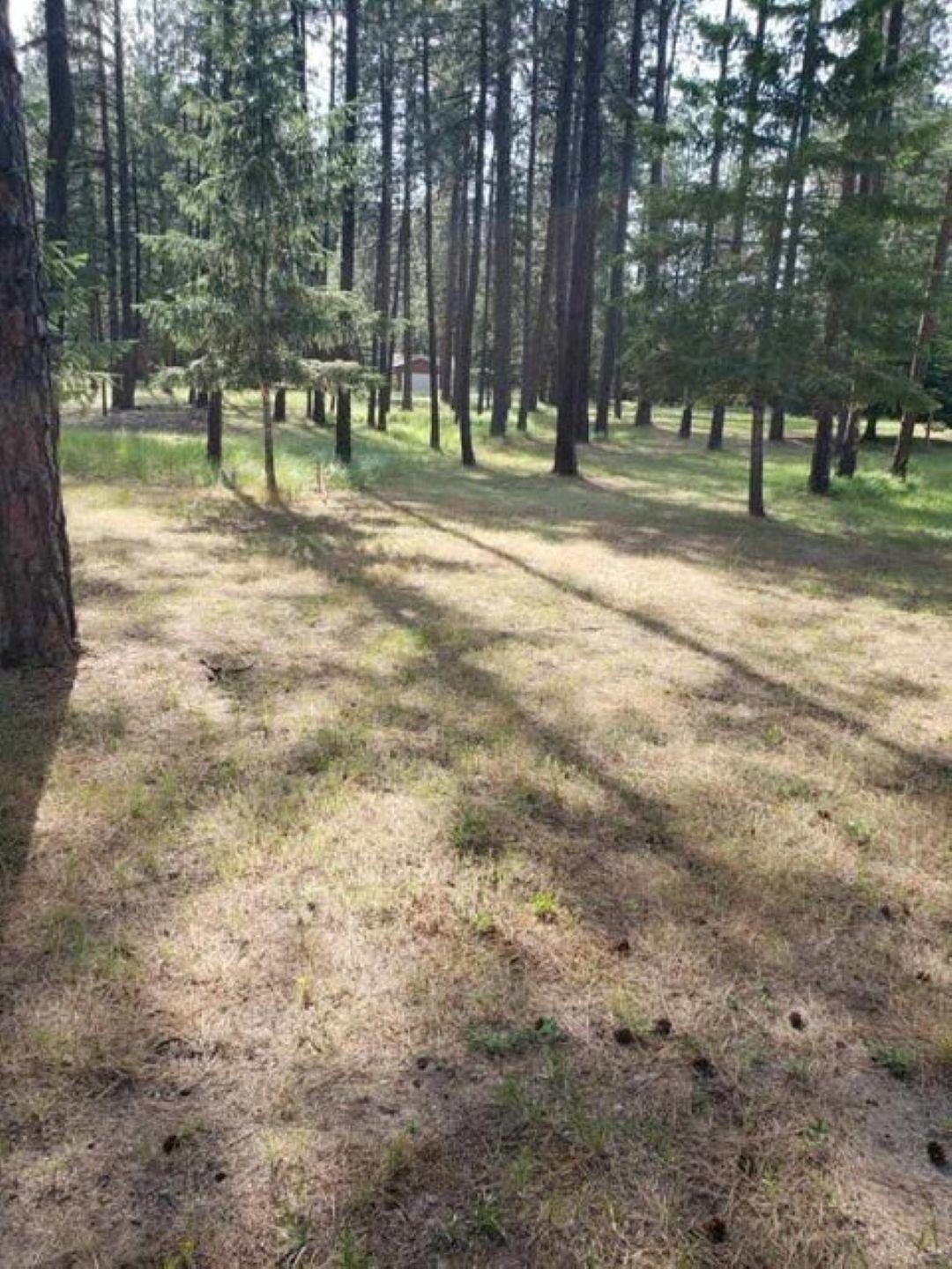 251 Eagle Dr - Photo 2