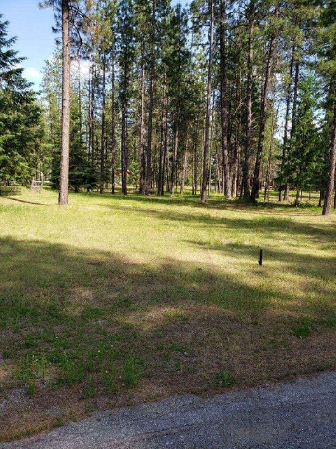 251 Eagle Dr - Photo 3