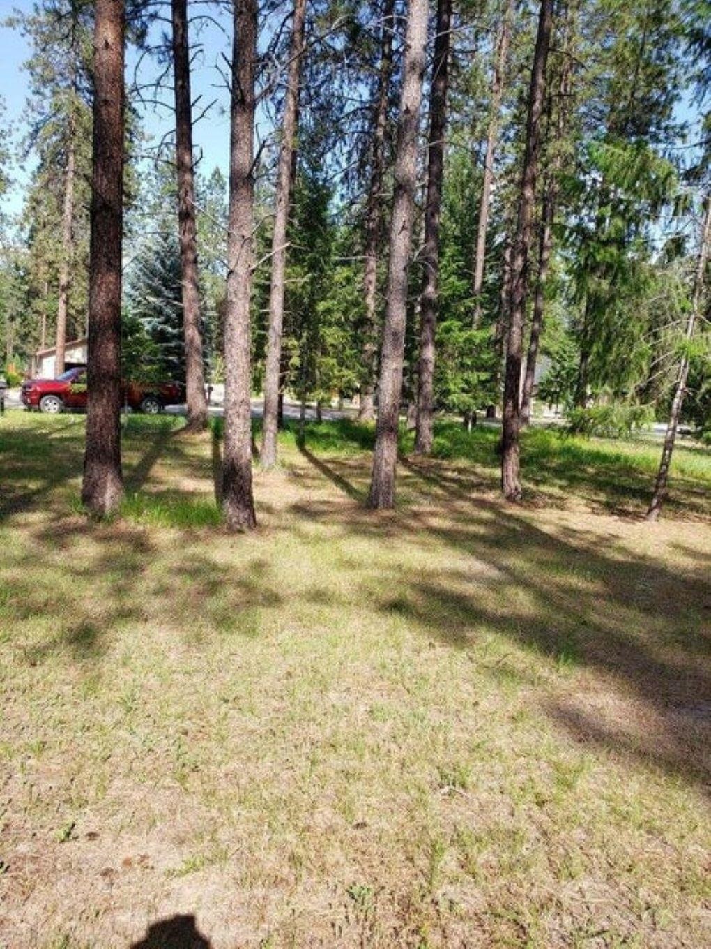 256 Eagle Dr - Photo 2