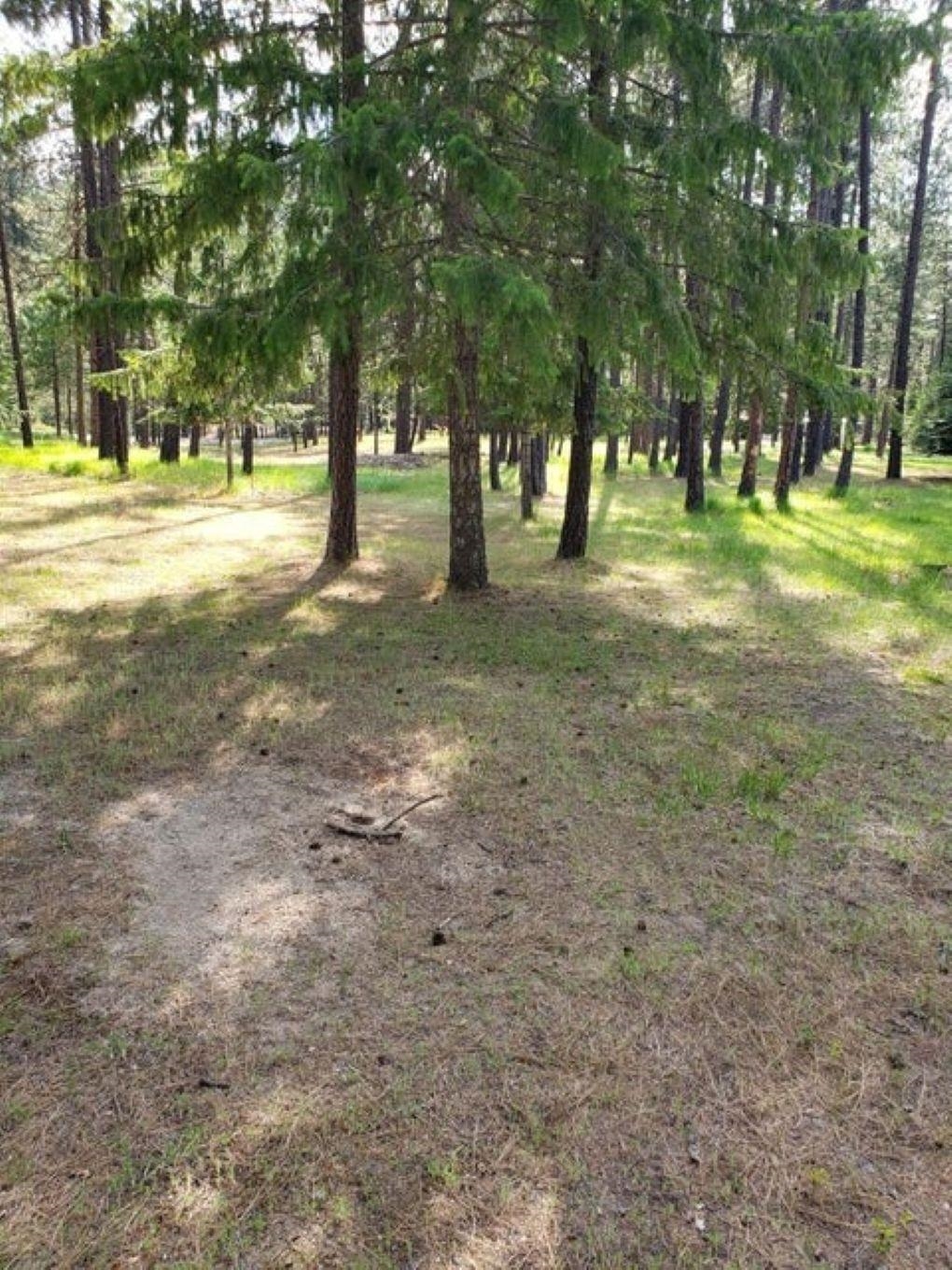 256 Eagle Dr - Photo 3