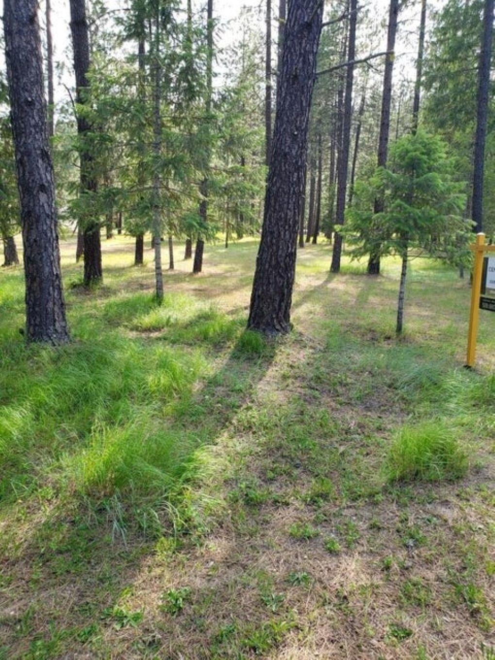 256 Eagle Dr - Photo 4