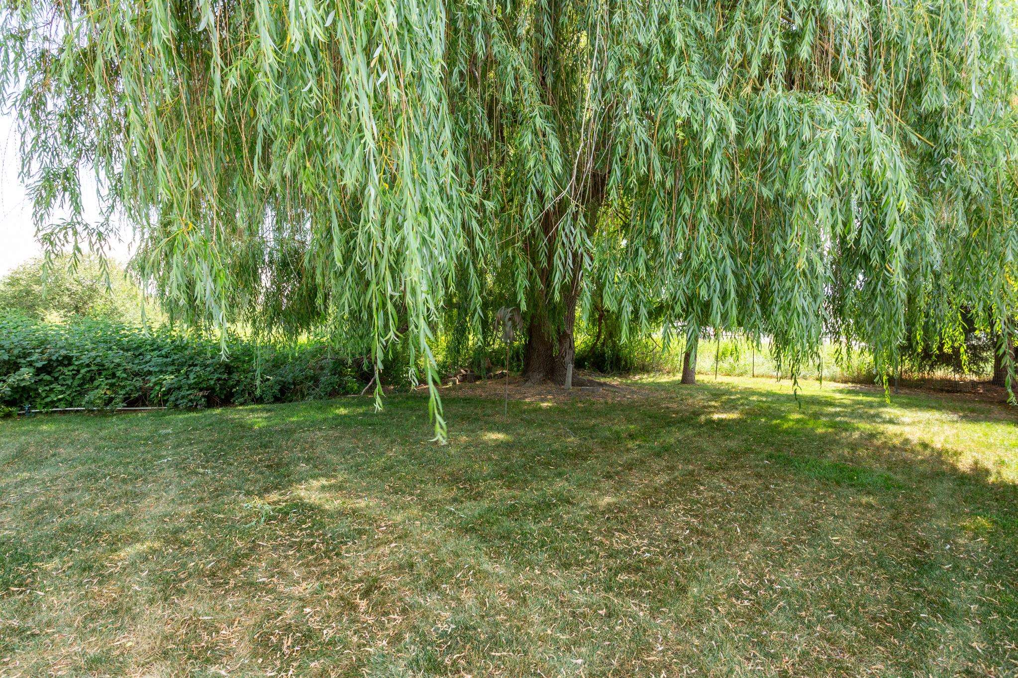 407 E Meadowmere Way - Photo 24