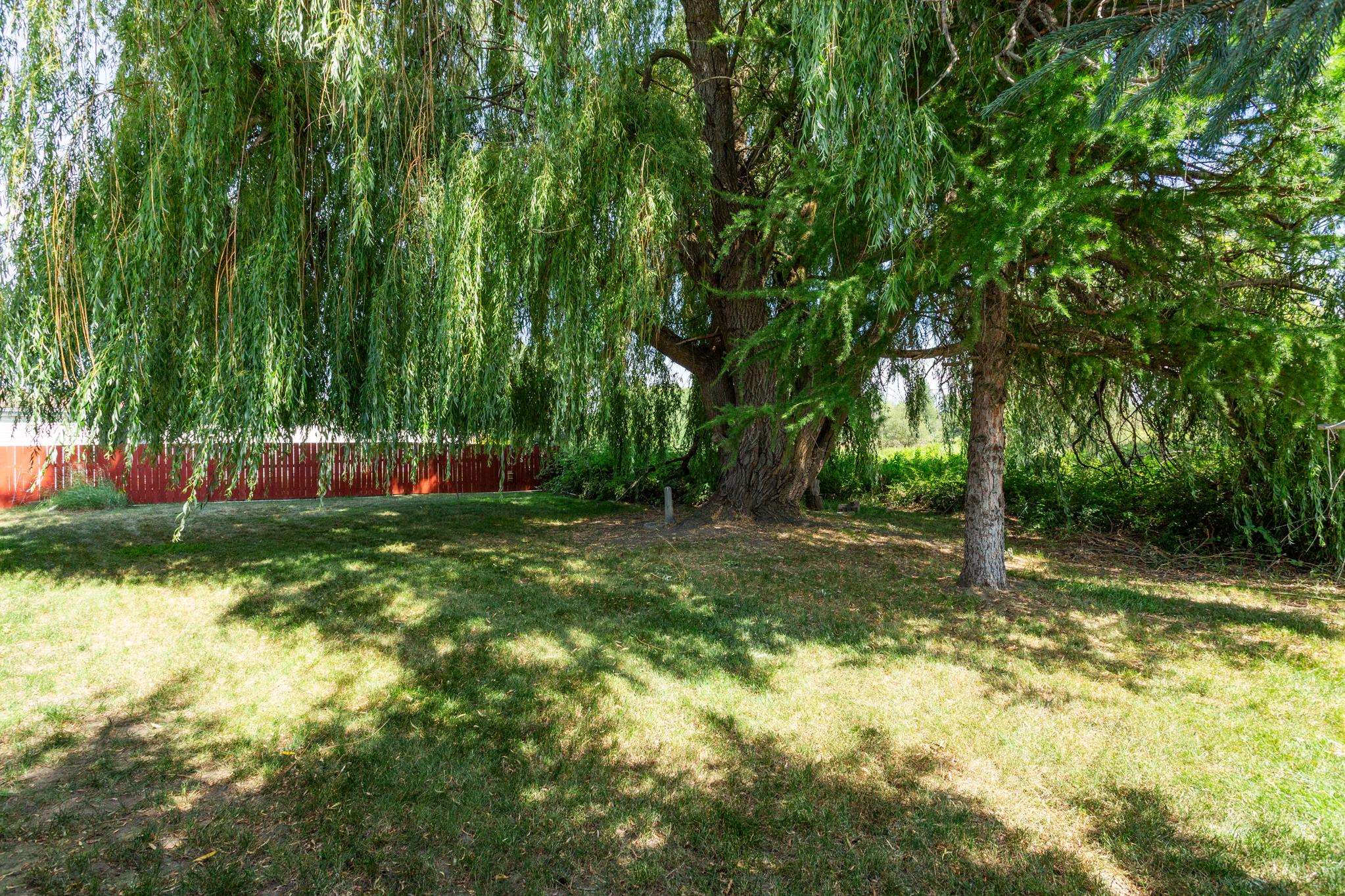 407 E Meadowmere Way - Photo 27