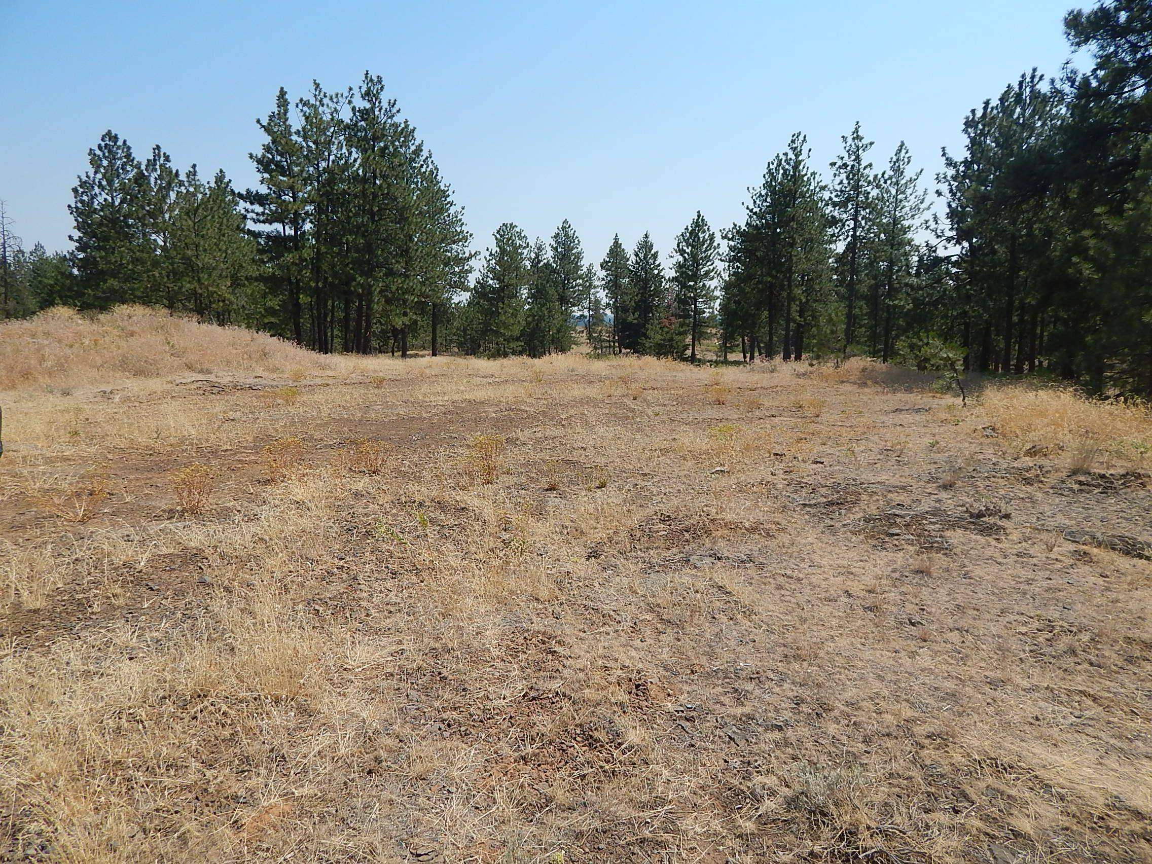 249014 W Kitt Rd - Photo 1
