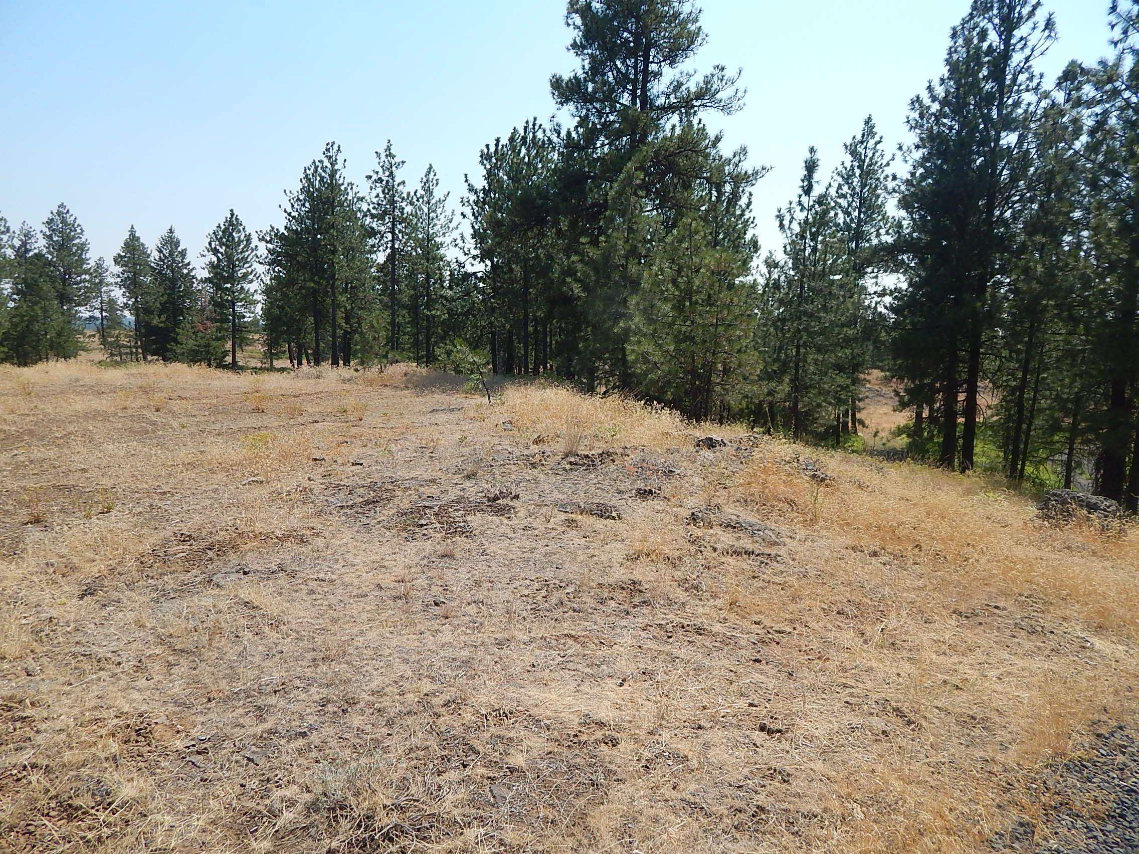 249014 W Kitt Rd - Photo 2